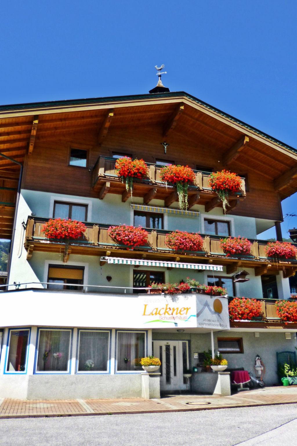 Photo 20 - Appartement de 2 chambres à Piesendorf avec vues sur la montagne