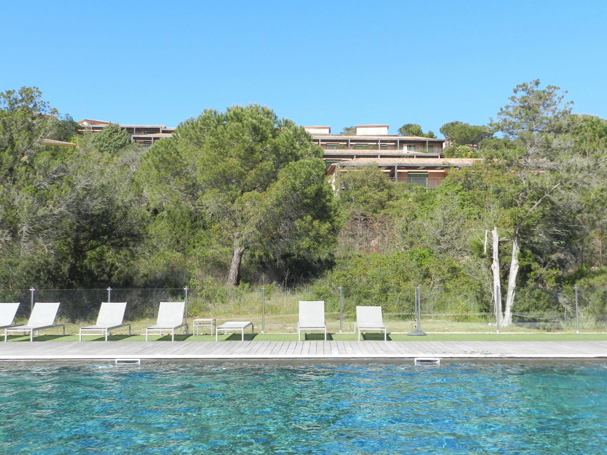 Foto 4 - Appartamento con 2 camere da letto a Porto-Vecchio con piscina e vista mare