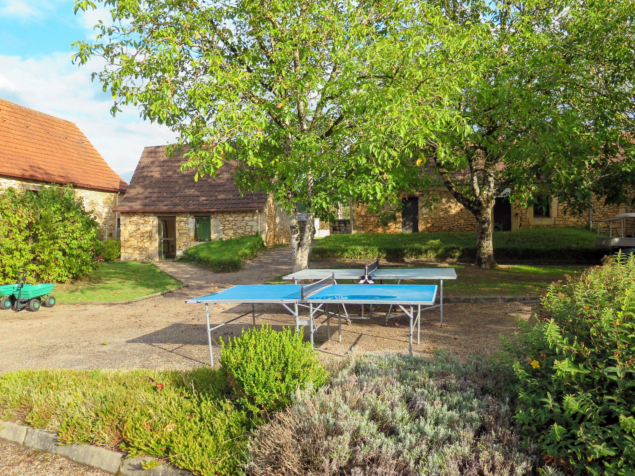 Foto 16 - Casa de 1 habitación en Montignac-Lascaux con piscina y terraza
