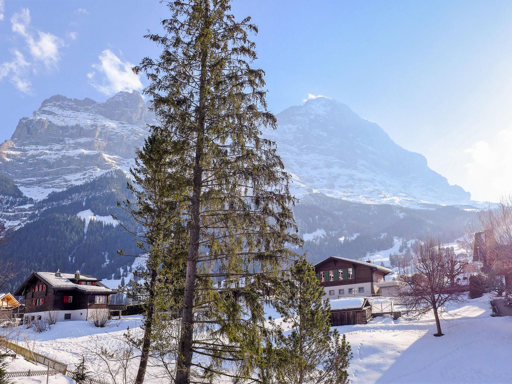 Foto 19 - Apartamento de 2 quartos em Grindelwald com vista para a montanha