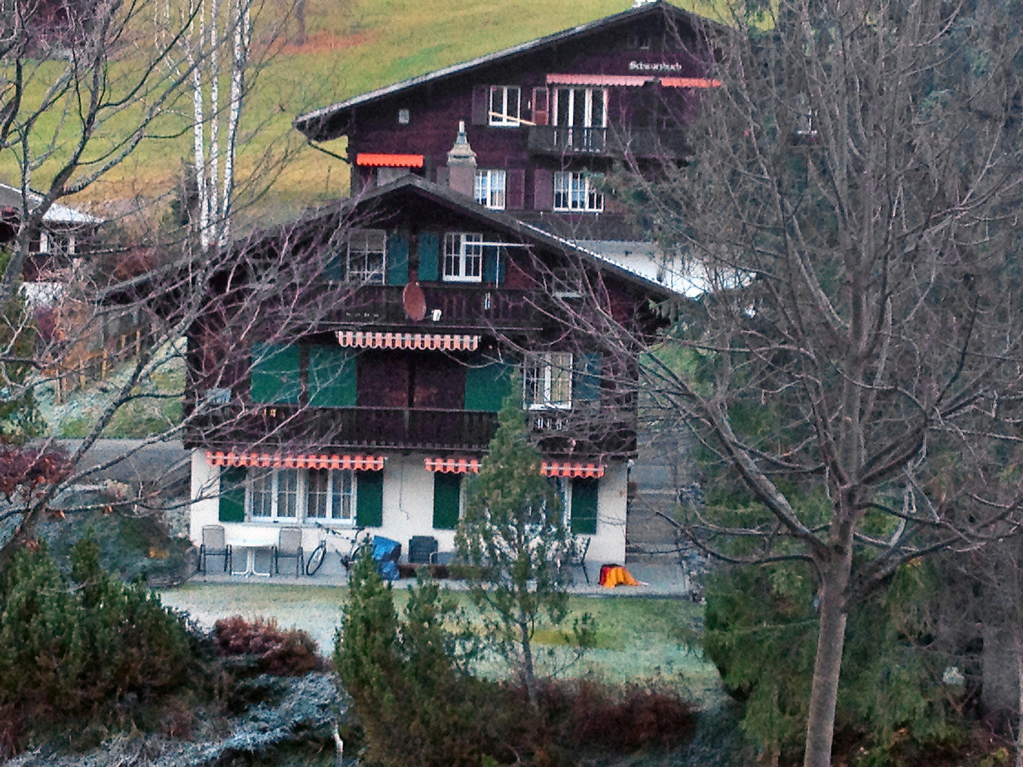 Foto 22 - Apartamento de 2 quartos em Grindelwald com vista para a montanha