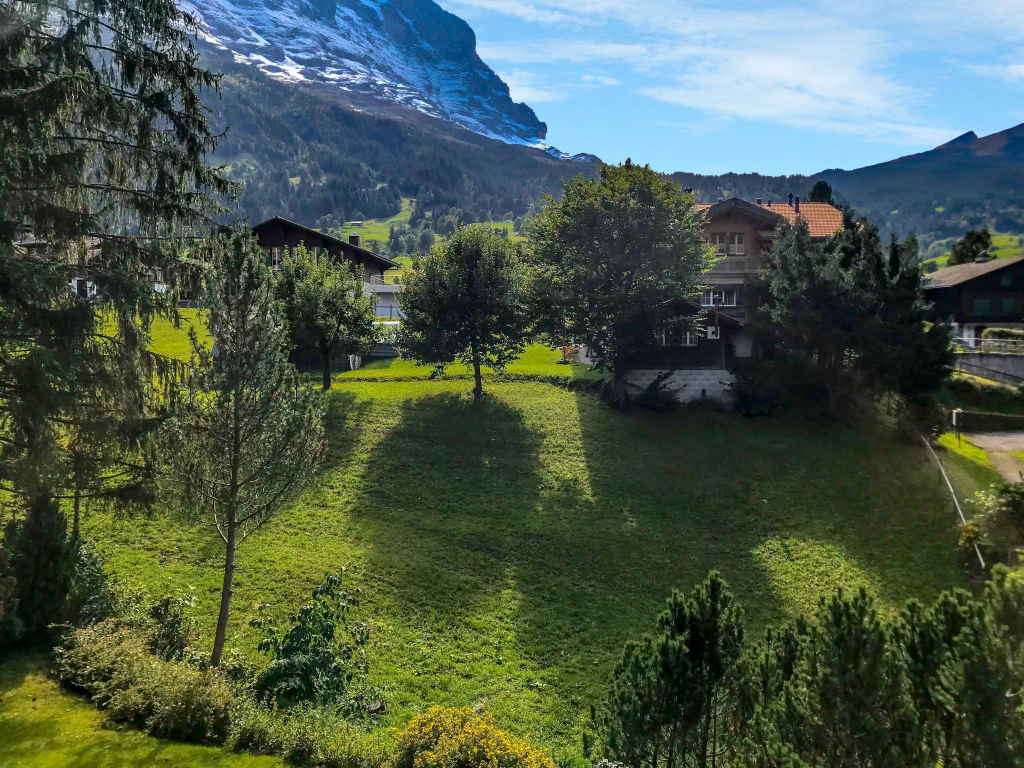 Foto 15 - Apartment mit 2 Schlafzimmern in Grindelwald mit blick auf die berge