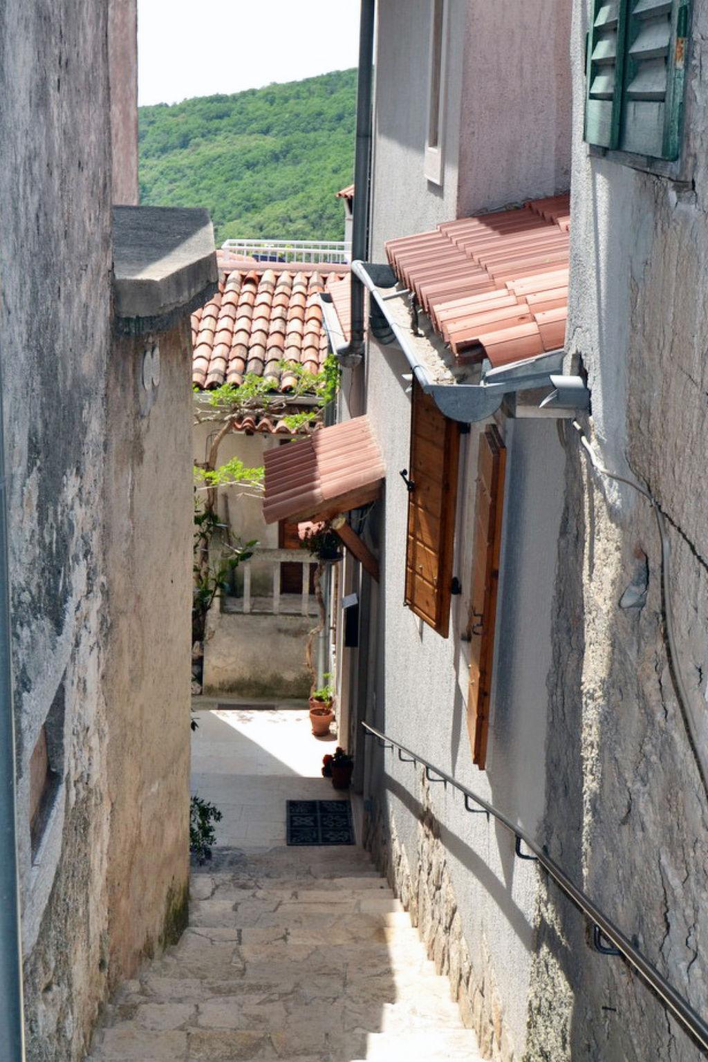 Photo 21 - Appartement de 1 chambre à Mošćenička Draga avec terrasse