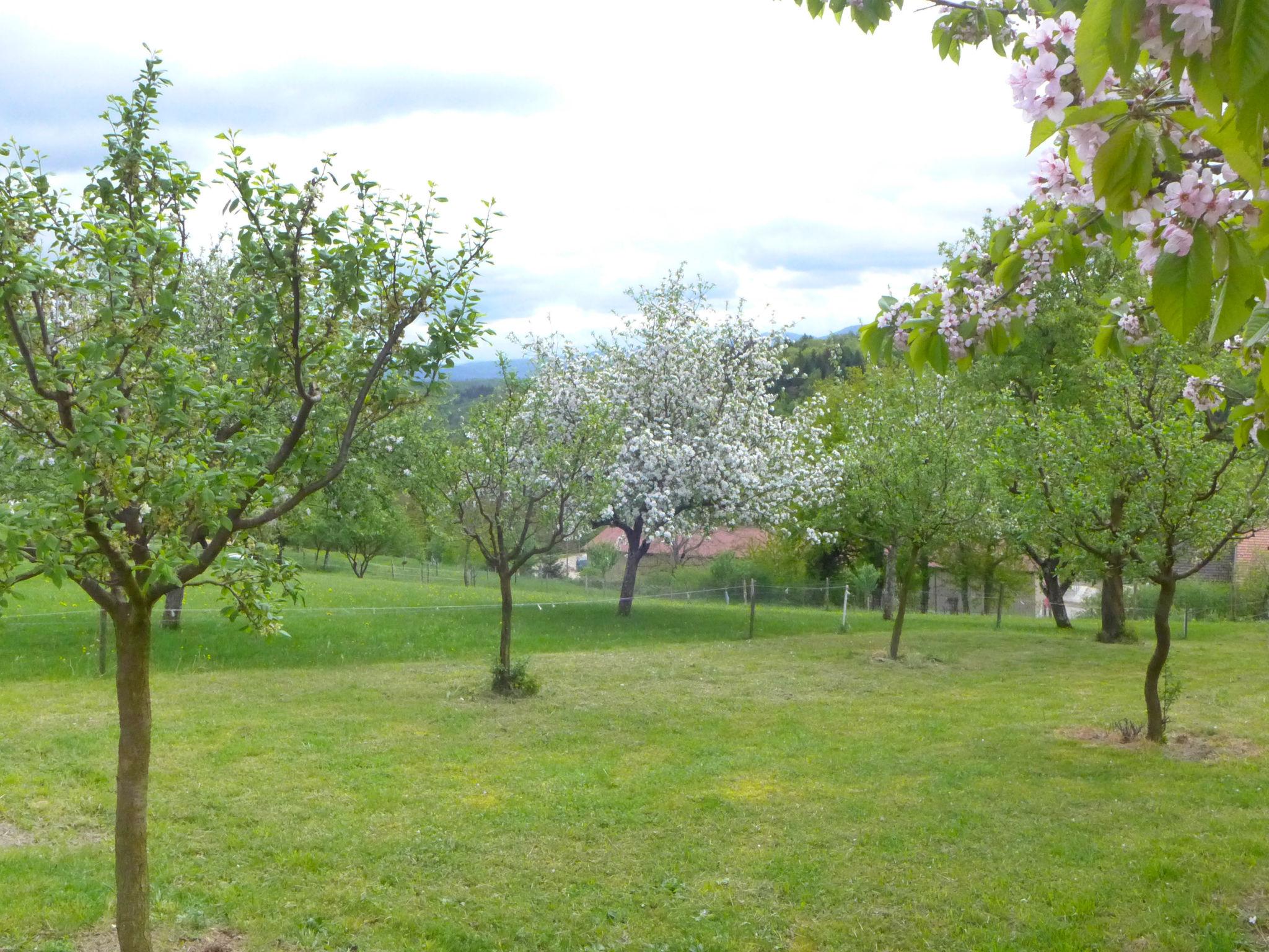 Foto 34 - Casa a Courchavon con giardino e terrazza