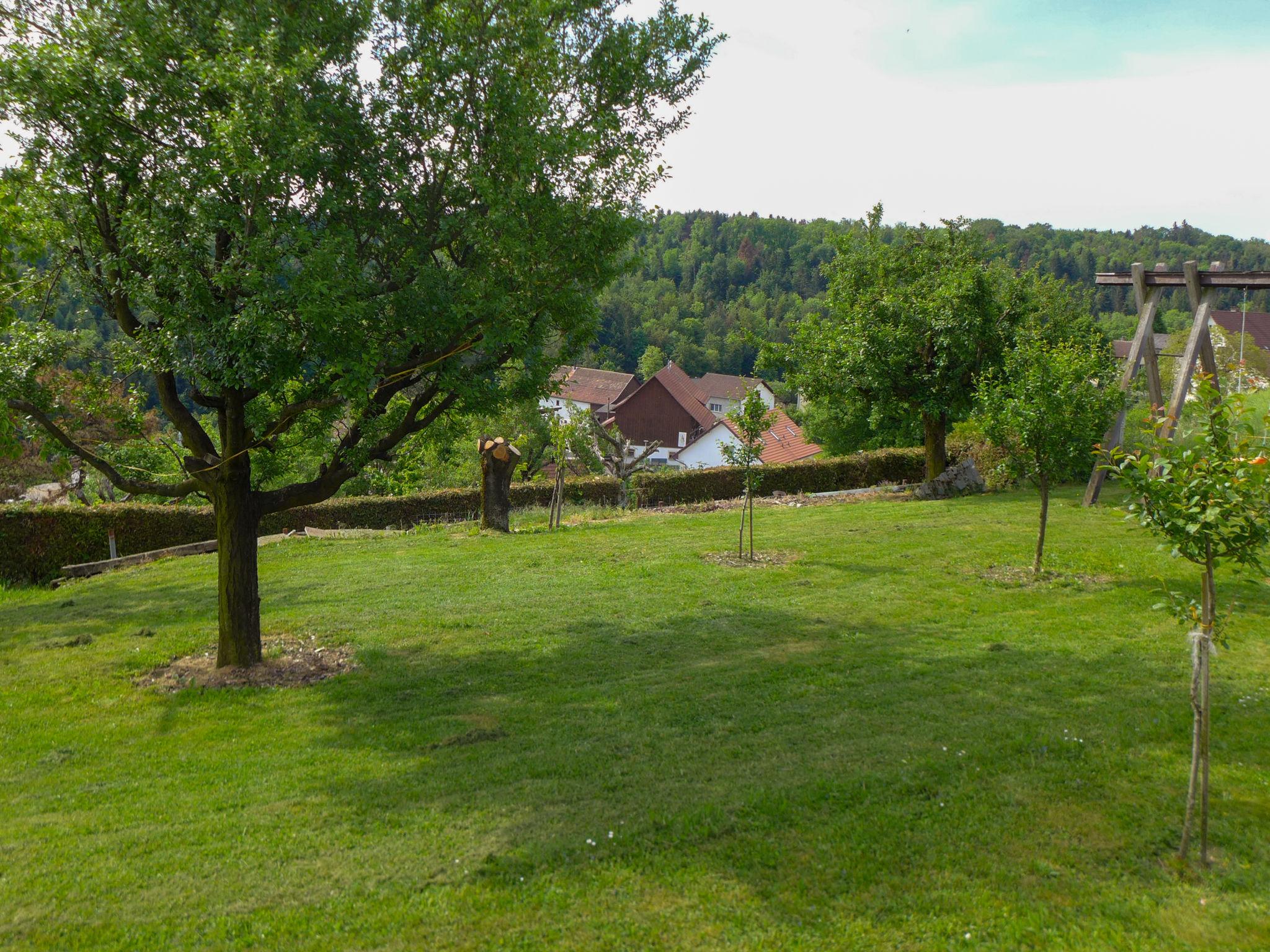 Photo 28 - House in Courchavon with garden and terrace