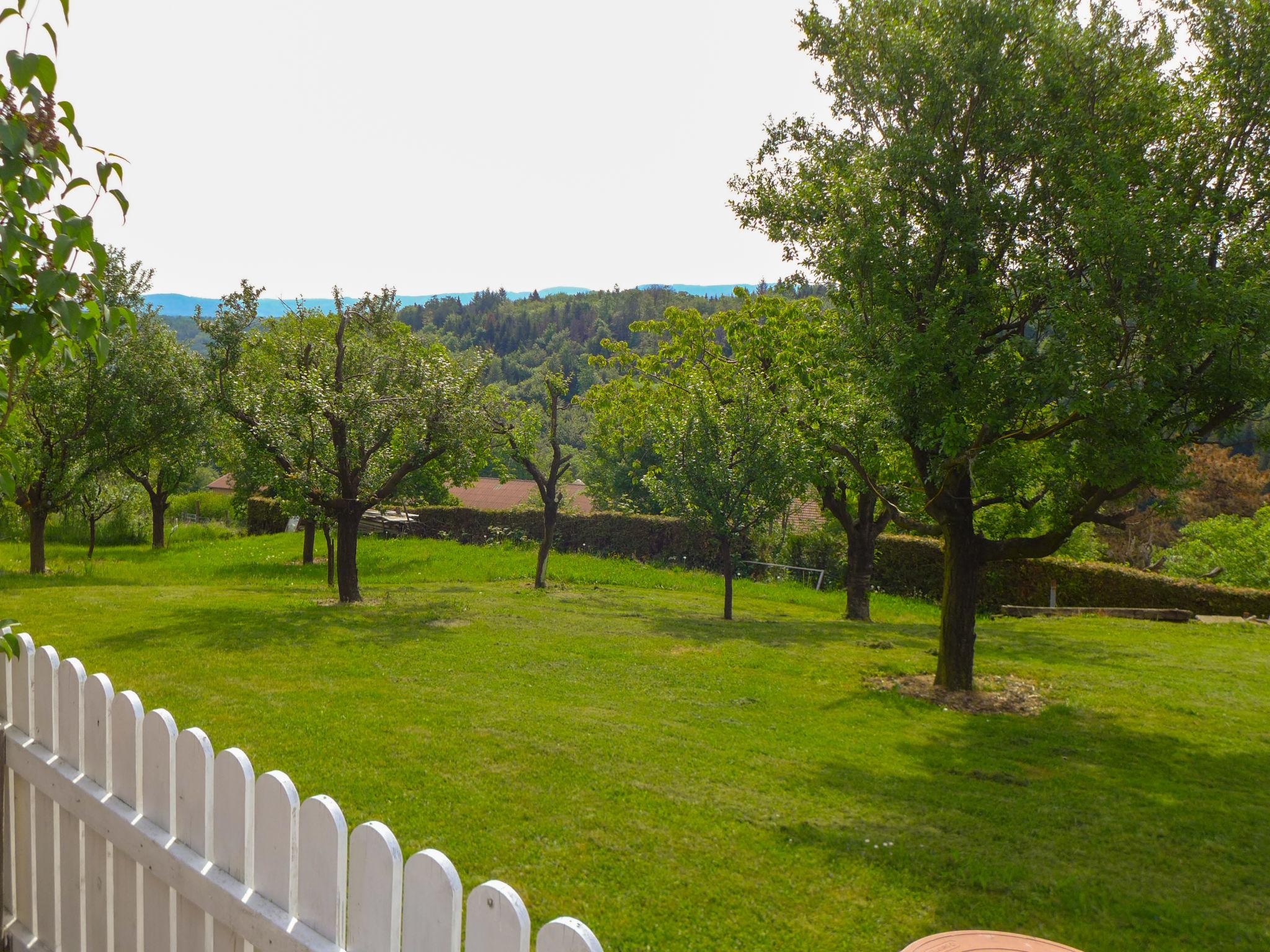 Photo 25 - Maison en Courchavon avec jardin et terrasse