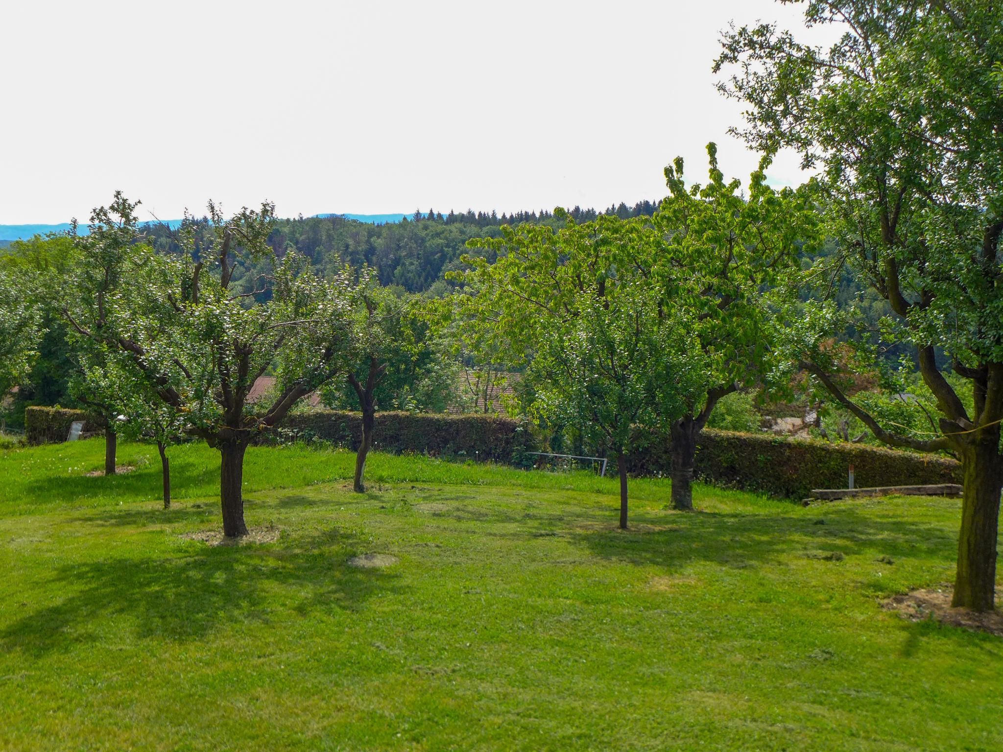 Photo 27 - House in Courchavon with garden and terrace