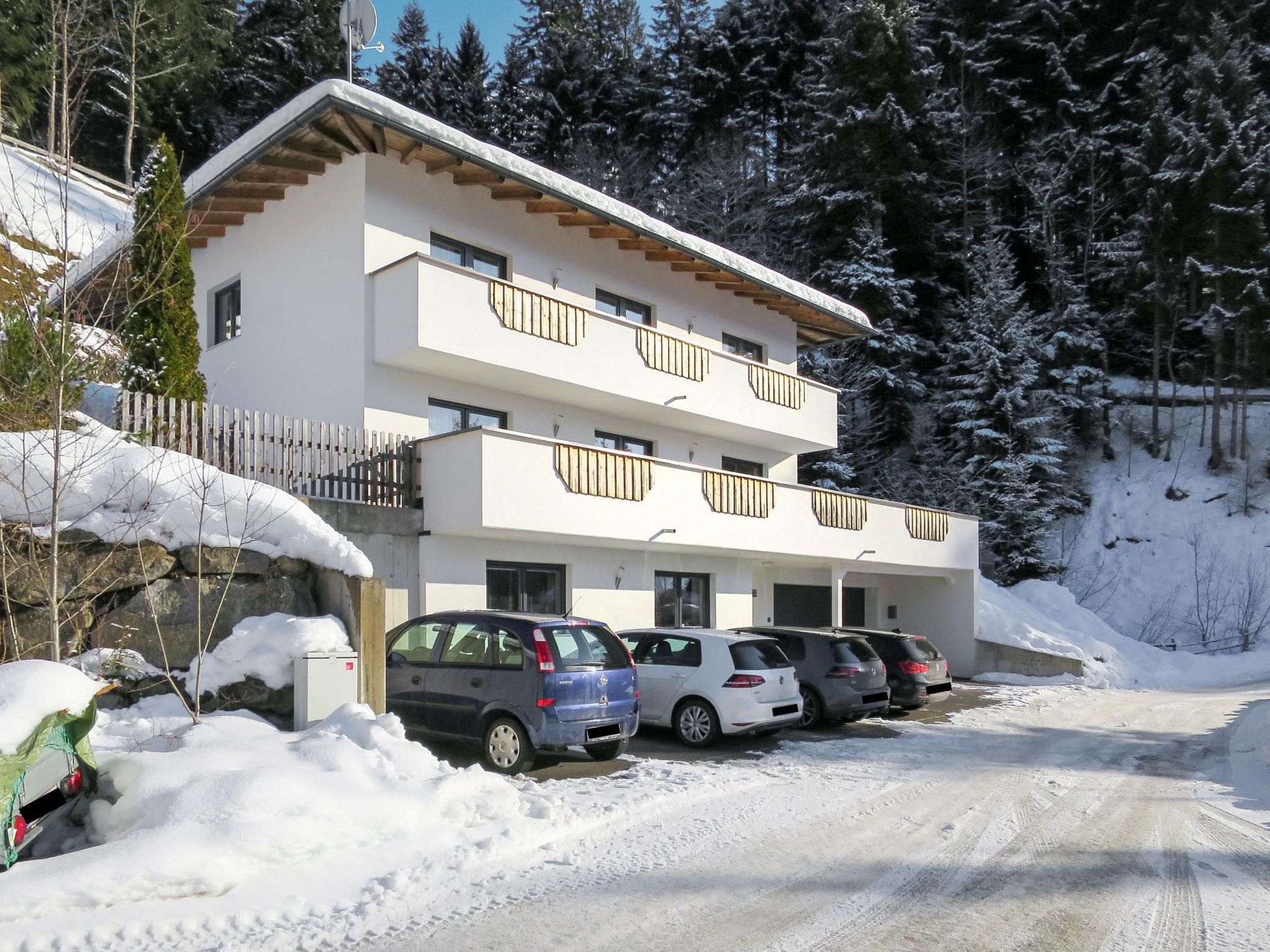 Foto 19 - Apartamento de 6 habitaciones en Ramsau im Zillertal con jardín y terraza