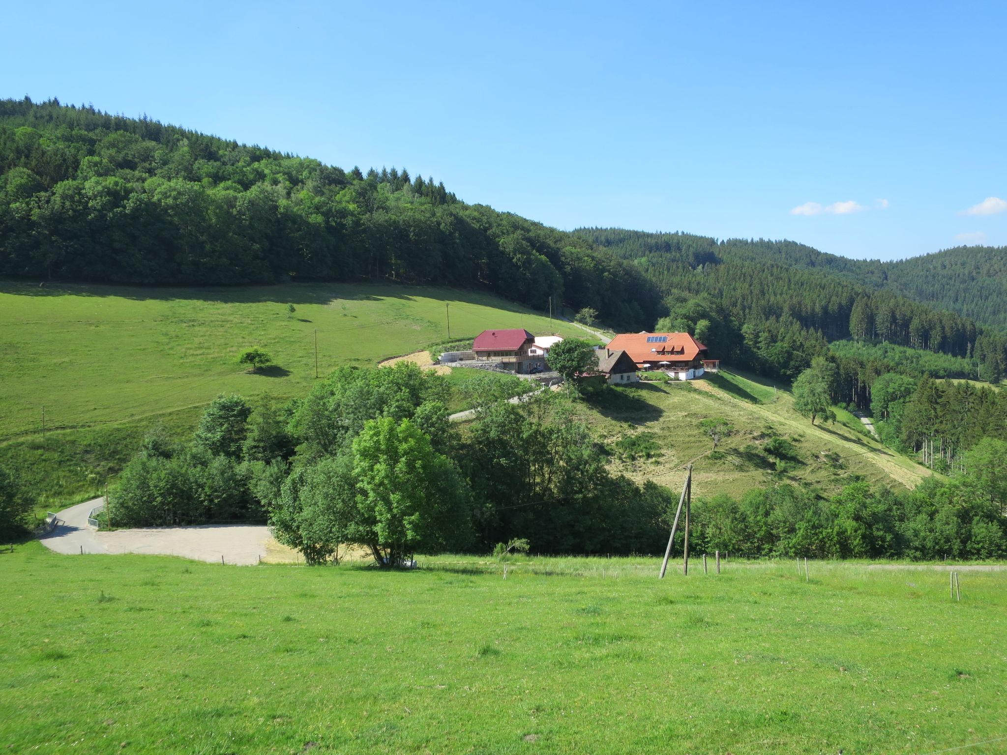 Photo 24 - Appartement de 2 chambres à Hofstetten avec jardin et vues sur la montagne