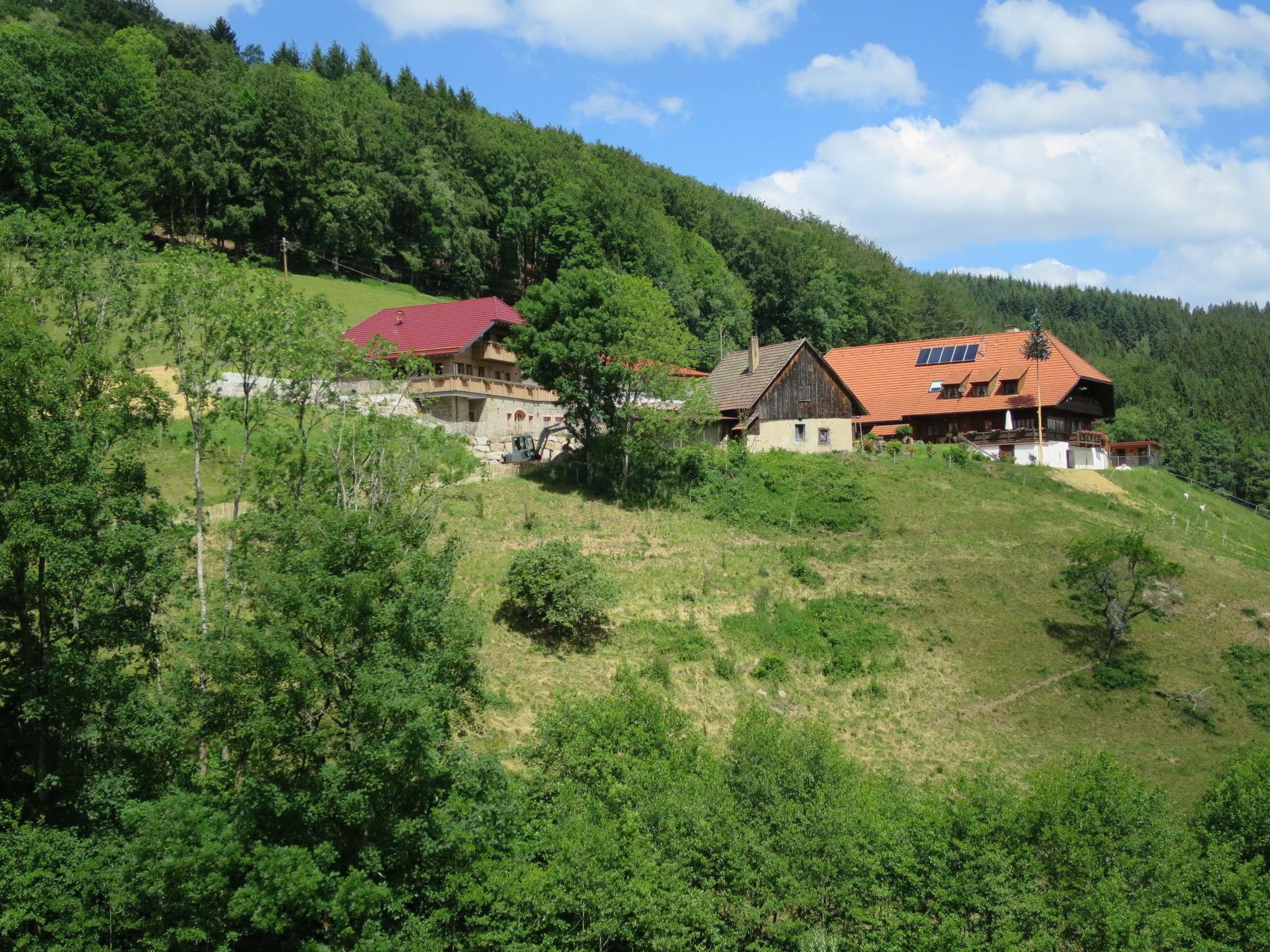 Photo 25 - Appartement de 2 chambres à Hofstetten avec jardin et vues sur la montagne