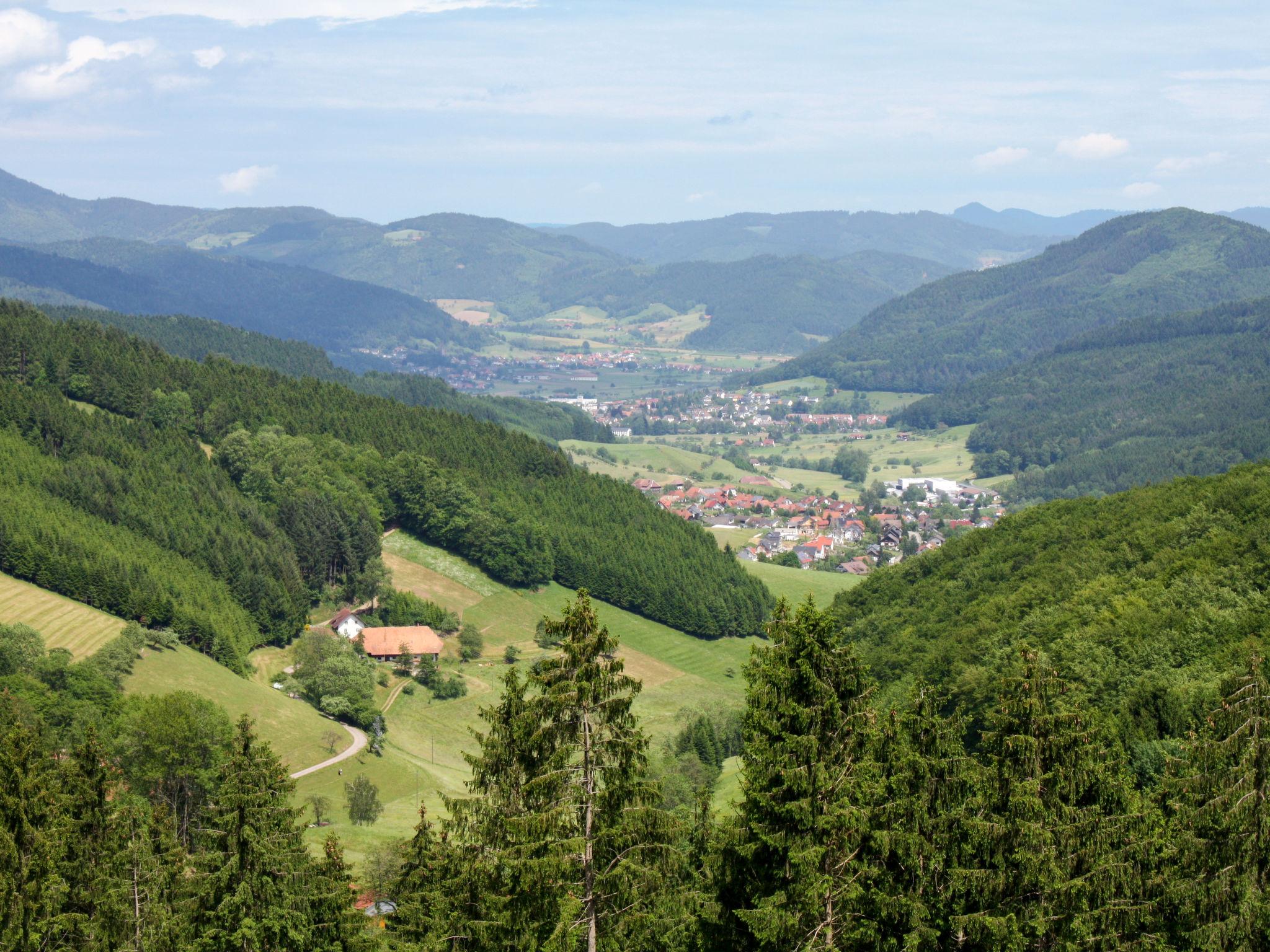 Photo 20 - 2 bedroom Apartment in Hofstetten with garden and mountain view