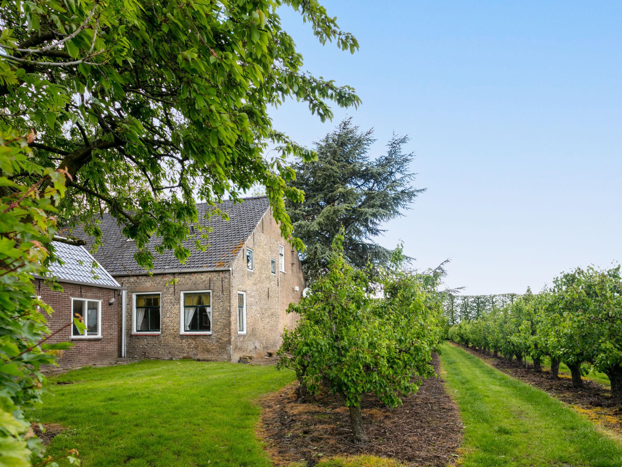 Photo 25 - Maison de 7 chambres à Zaamslag avec jardin