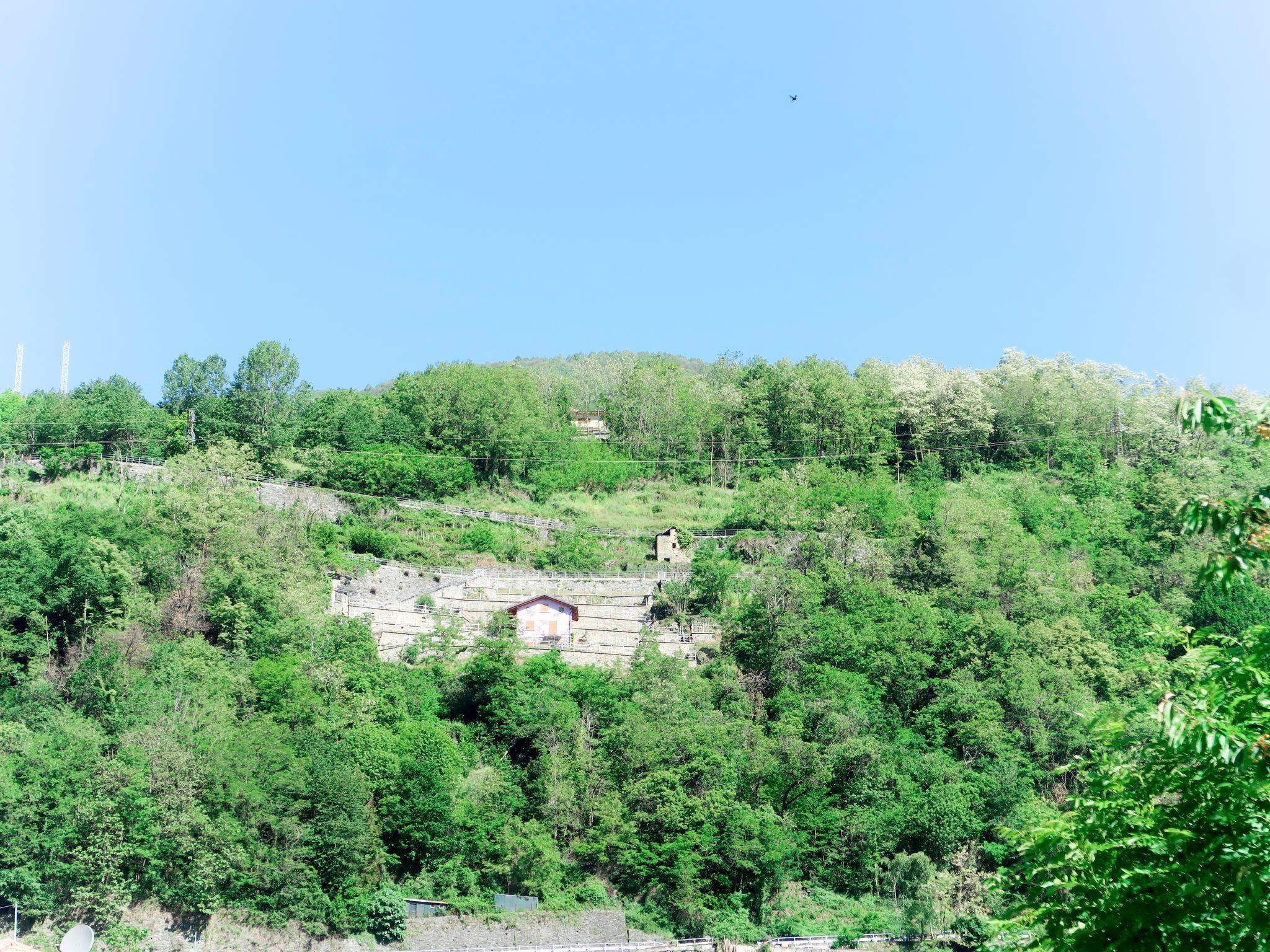 Photo 28 - Maison de 1 chambre à Stazzona avec jardin et vues sur la montagne