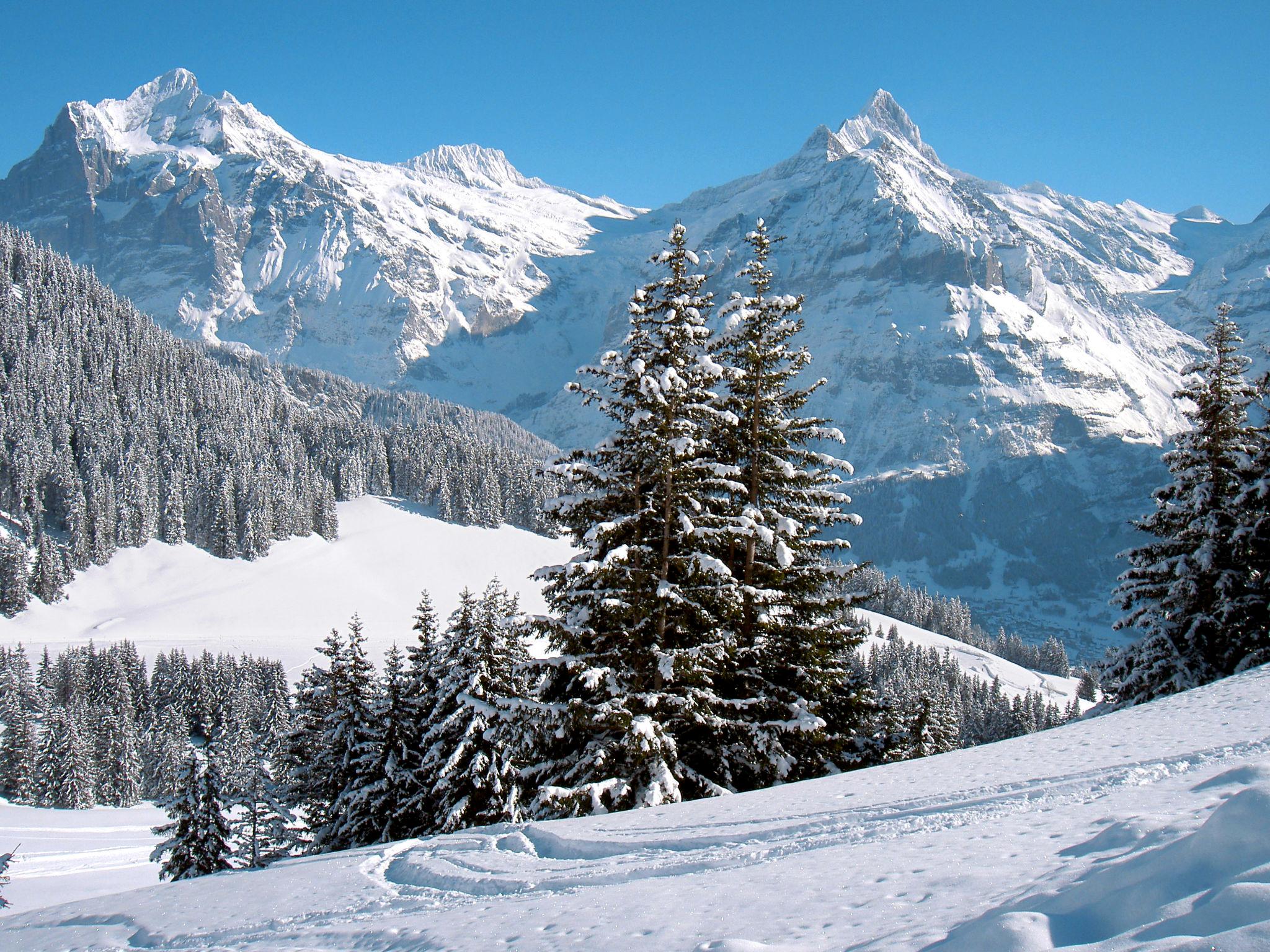 Photo 21 - 1 bedroom Apartment in Grindelwald with terrace and mountain view