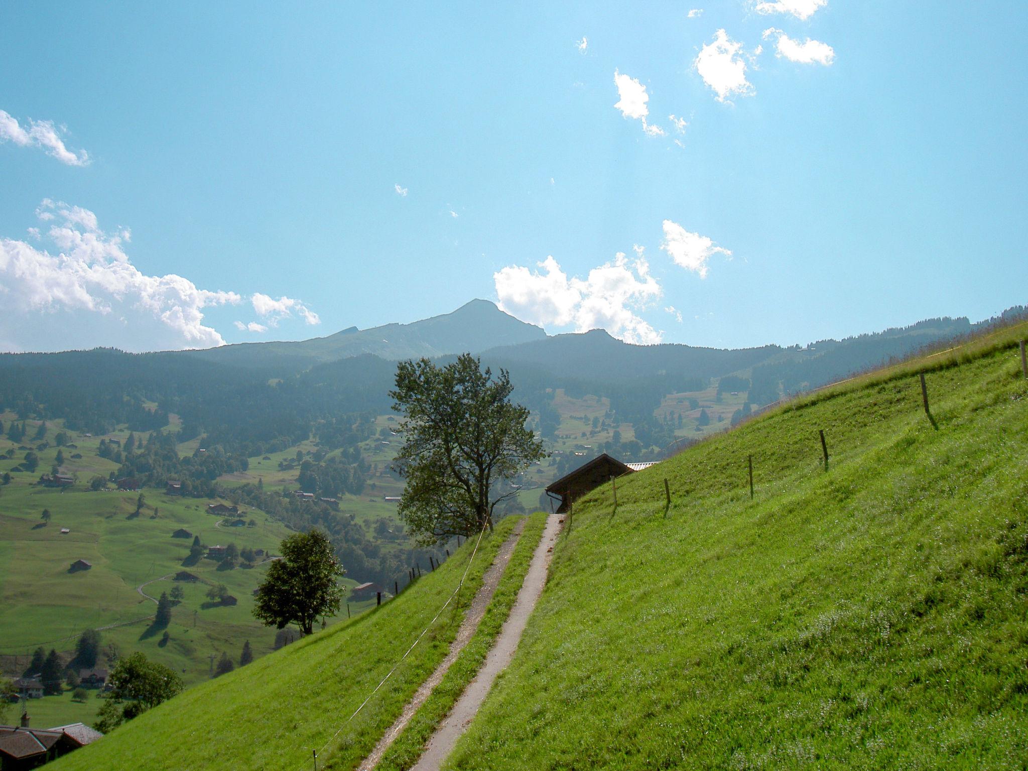 Foto 18 - Apartamento de 1 quarto em Grindelwald com jardim e terraço