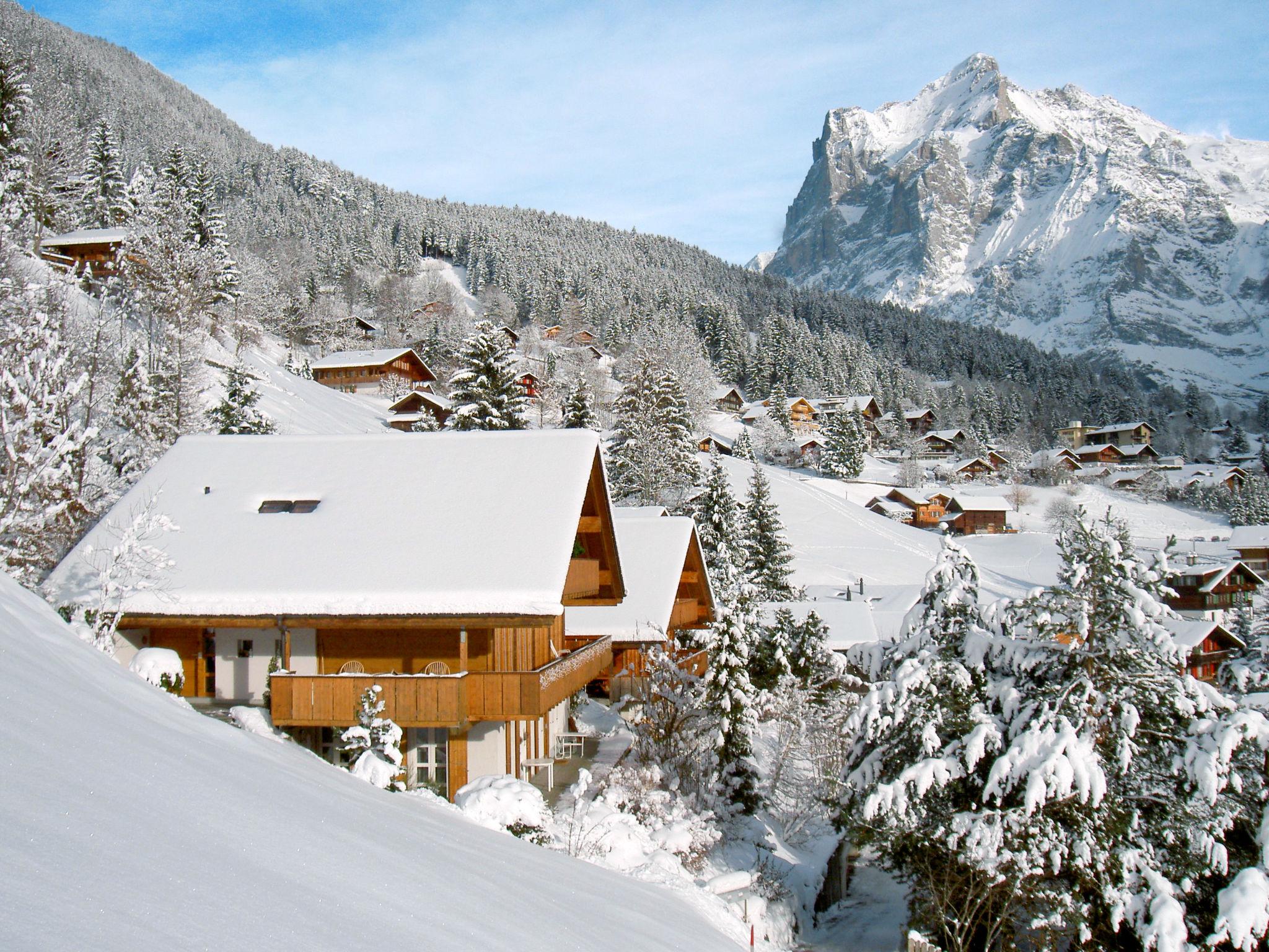 Foto 19 - Appartamento con 1 camera da letto a Grindelwald con giardino e terrazza