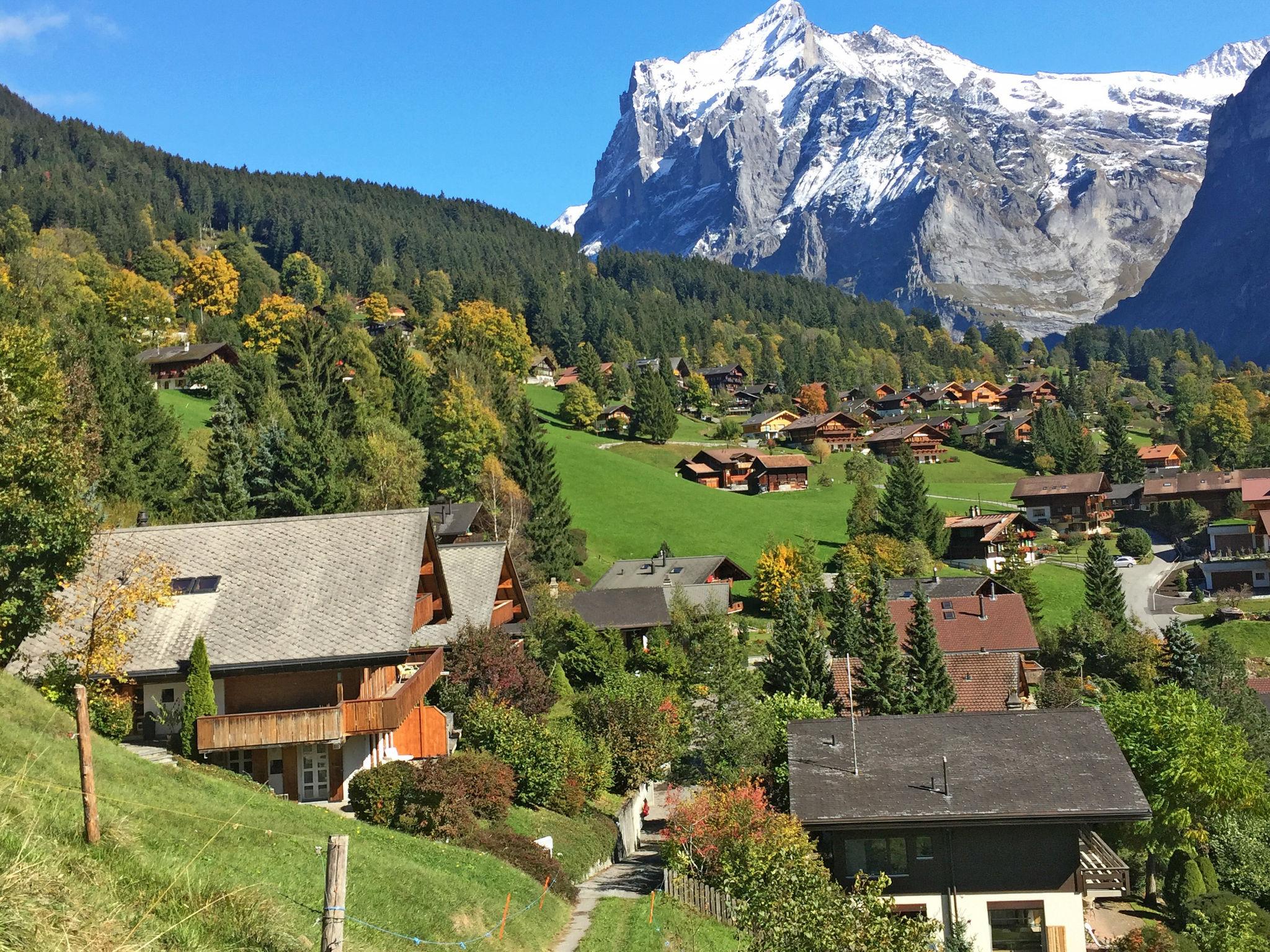 Foto 17 - Apartamento de 1 habitación en Grindelwald con jardín y terraza