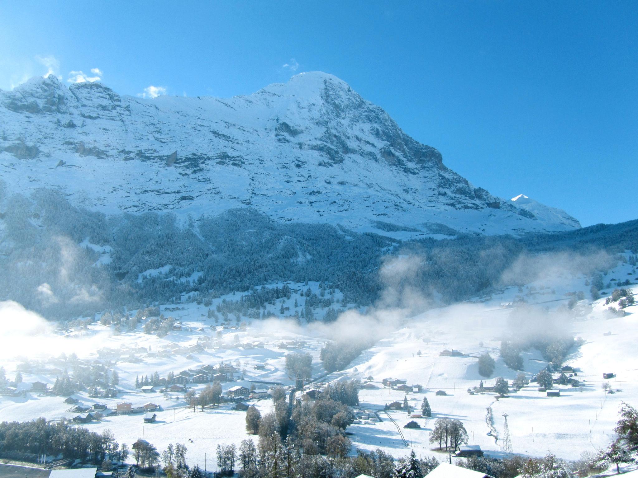 Foto 20 - Apartamento de 1 quarto em Grindelwald com jardim e terraço