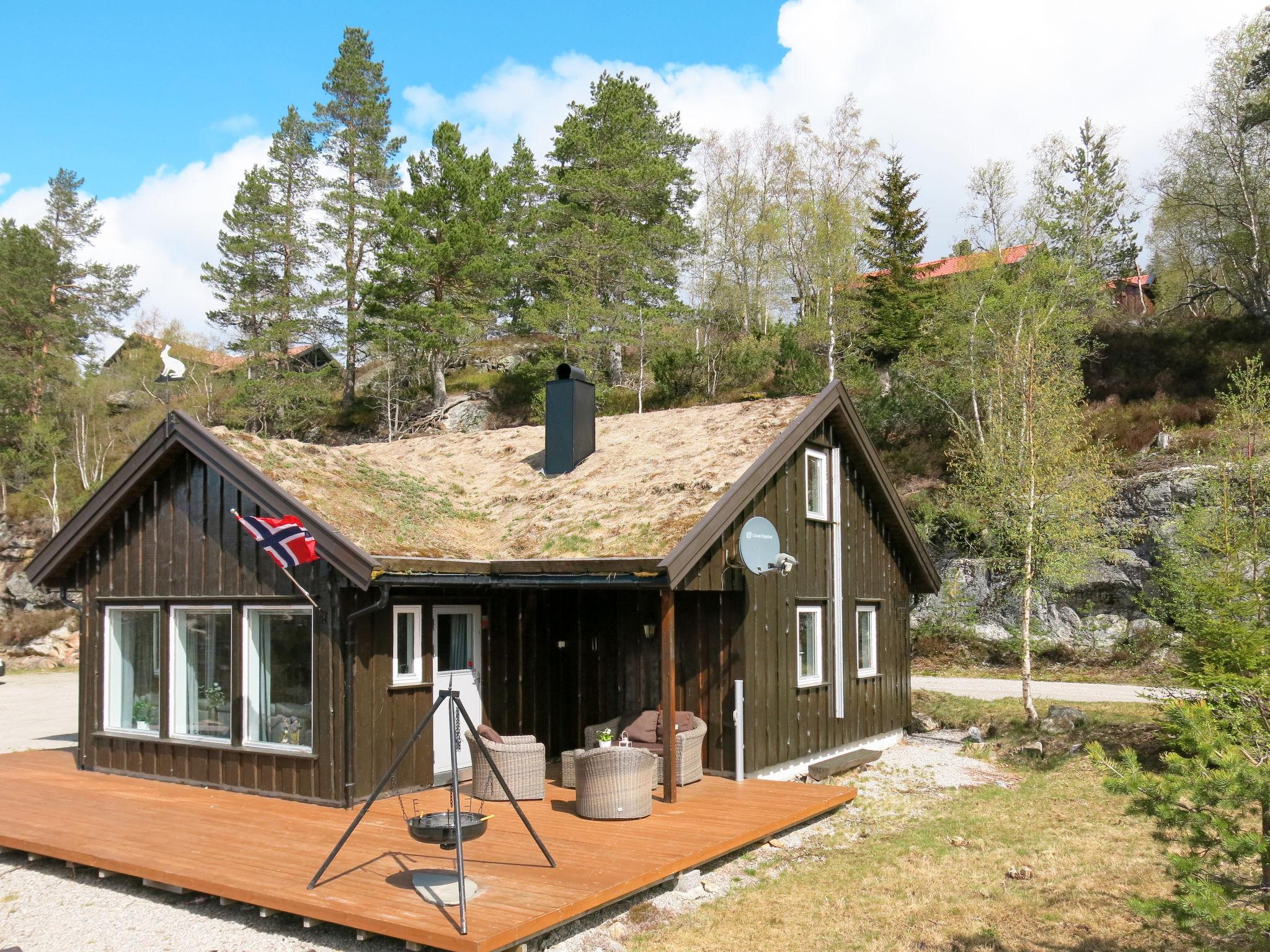 Foto 17 - Casa de 4 habitaciones en Åseral con terraza