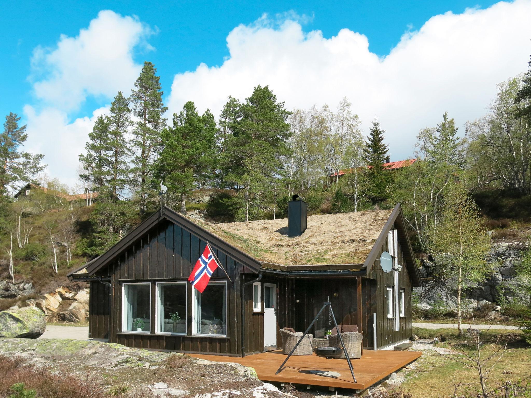 Foto 1 - Haus mit 4 Schlafzimmern in Åseral mit garten und terrasse