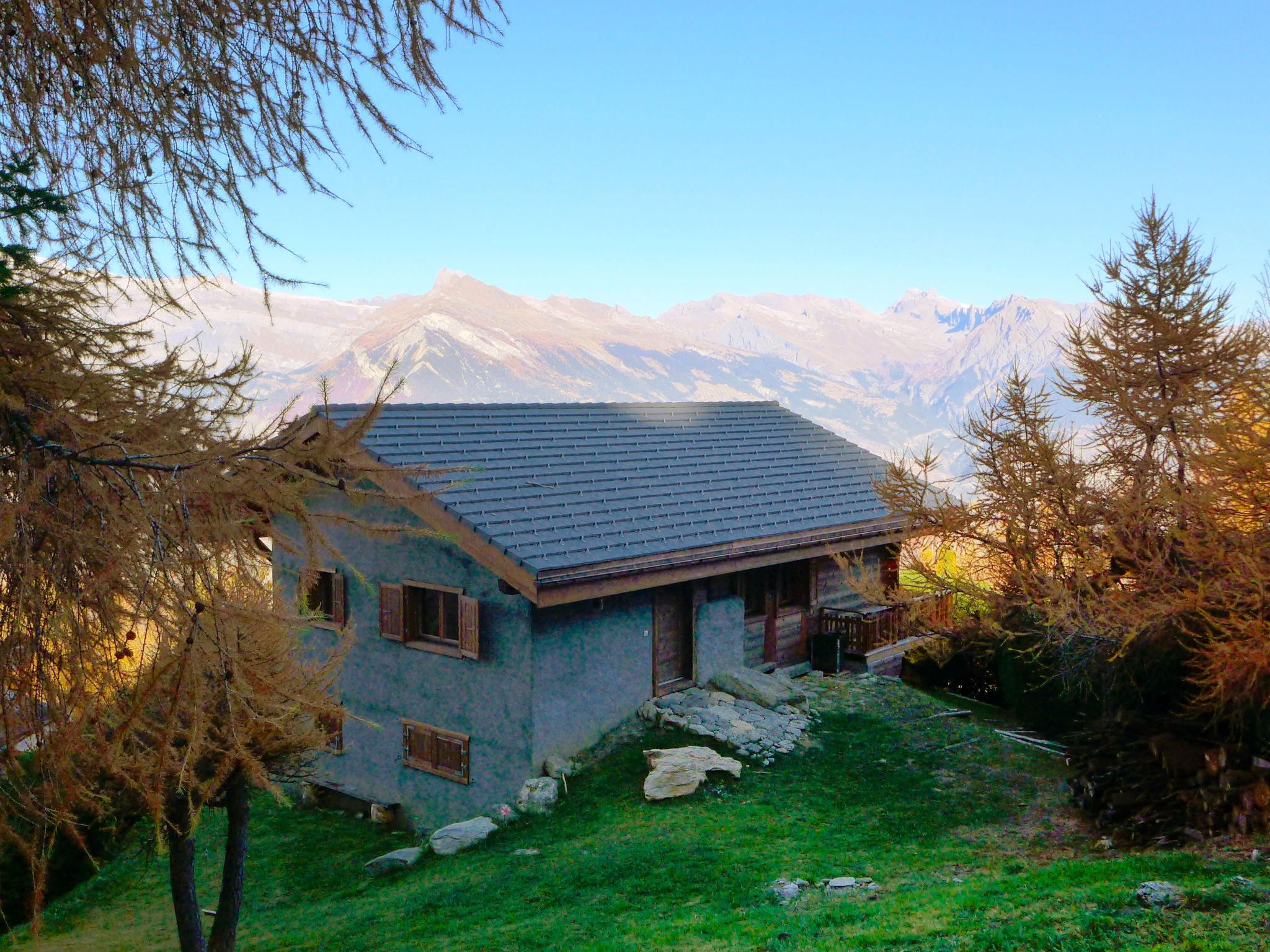 Foto 29 - Casa de 3 quartos em Nendaz com jardim e terraço