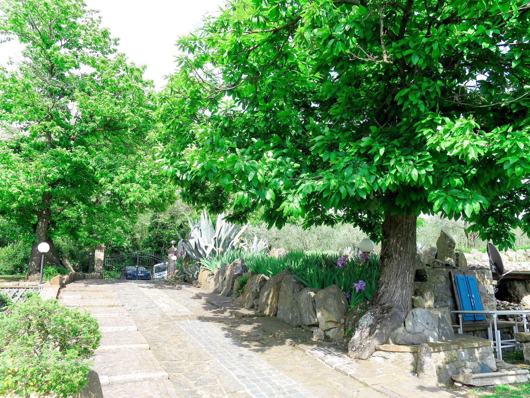 Foto 30 - Casa de 2 quartos em Bolsena com piscina privada e jardim