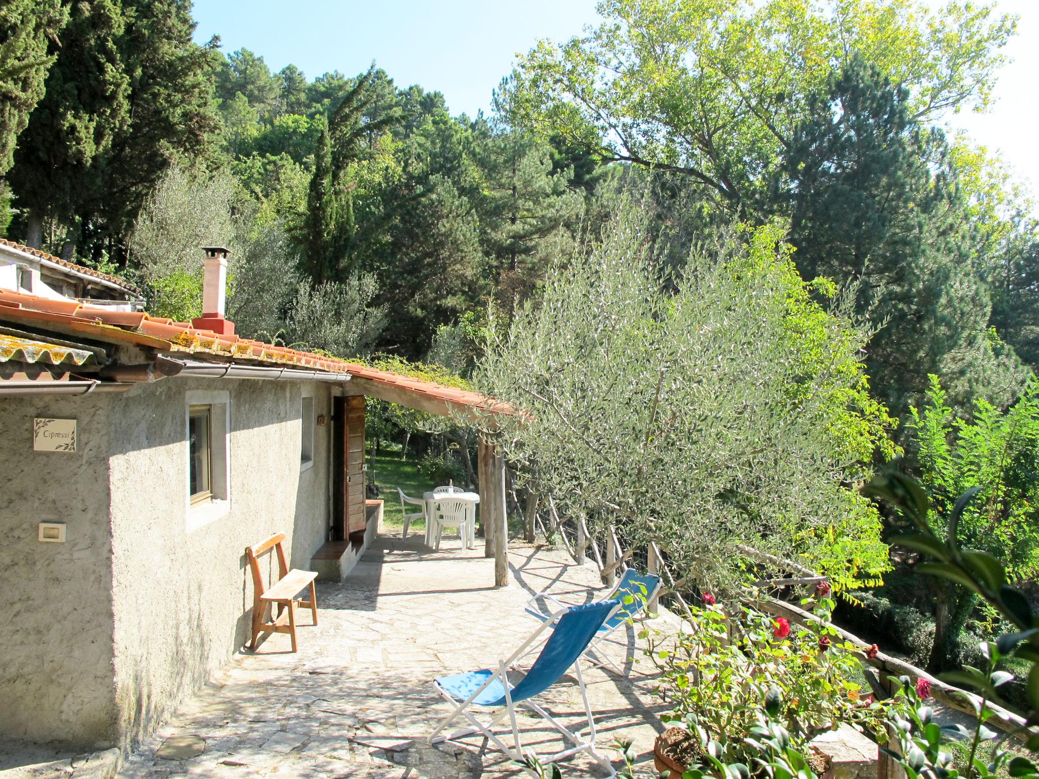 Foto 3 - Haus mit 1 Schlafzimmer in Castelfranco Piandiscò mit schwimmbad und garten