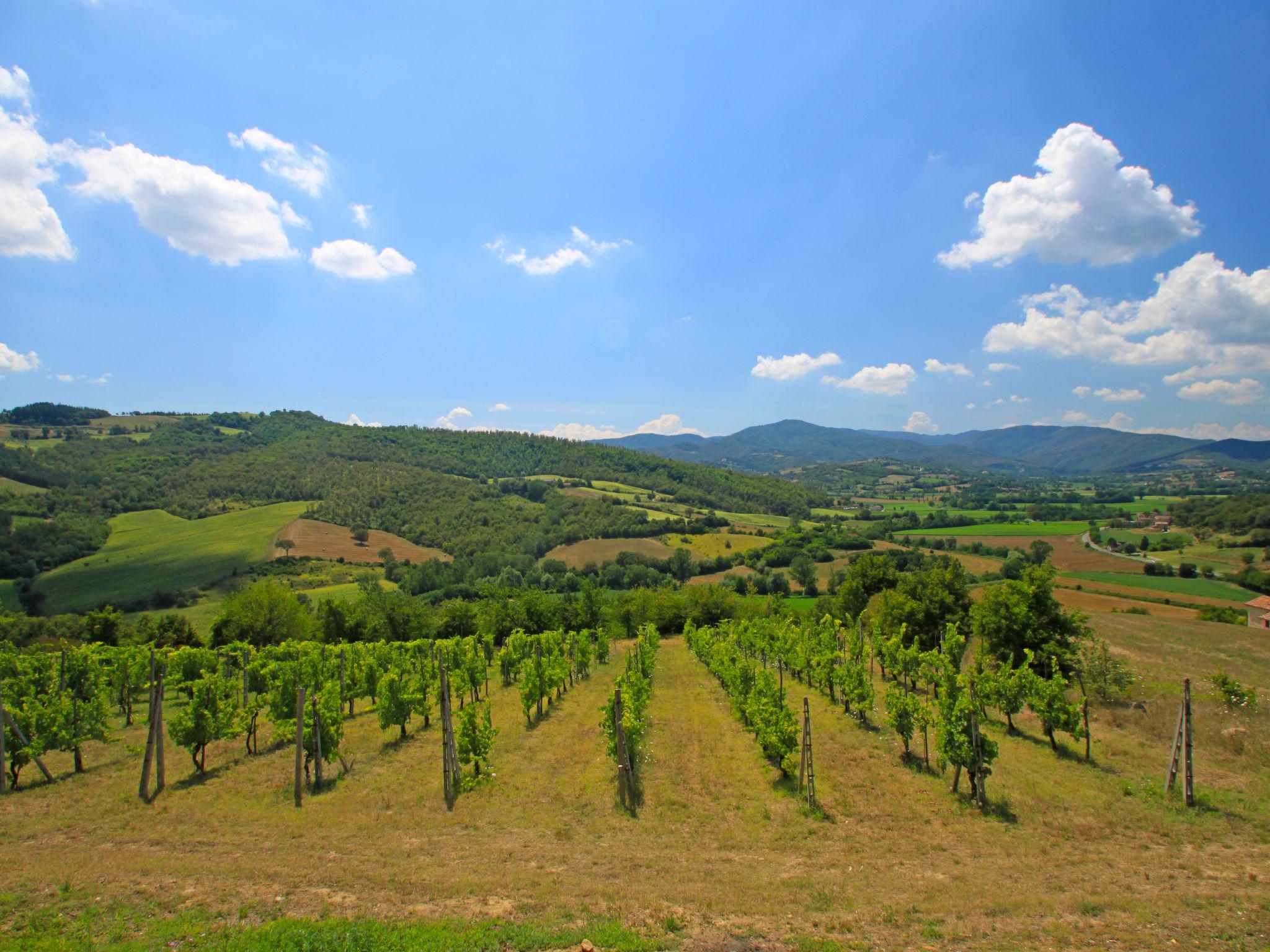 Photo 22 - 5 bedroom House in Citerna with private pool and garden