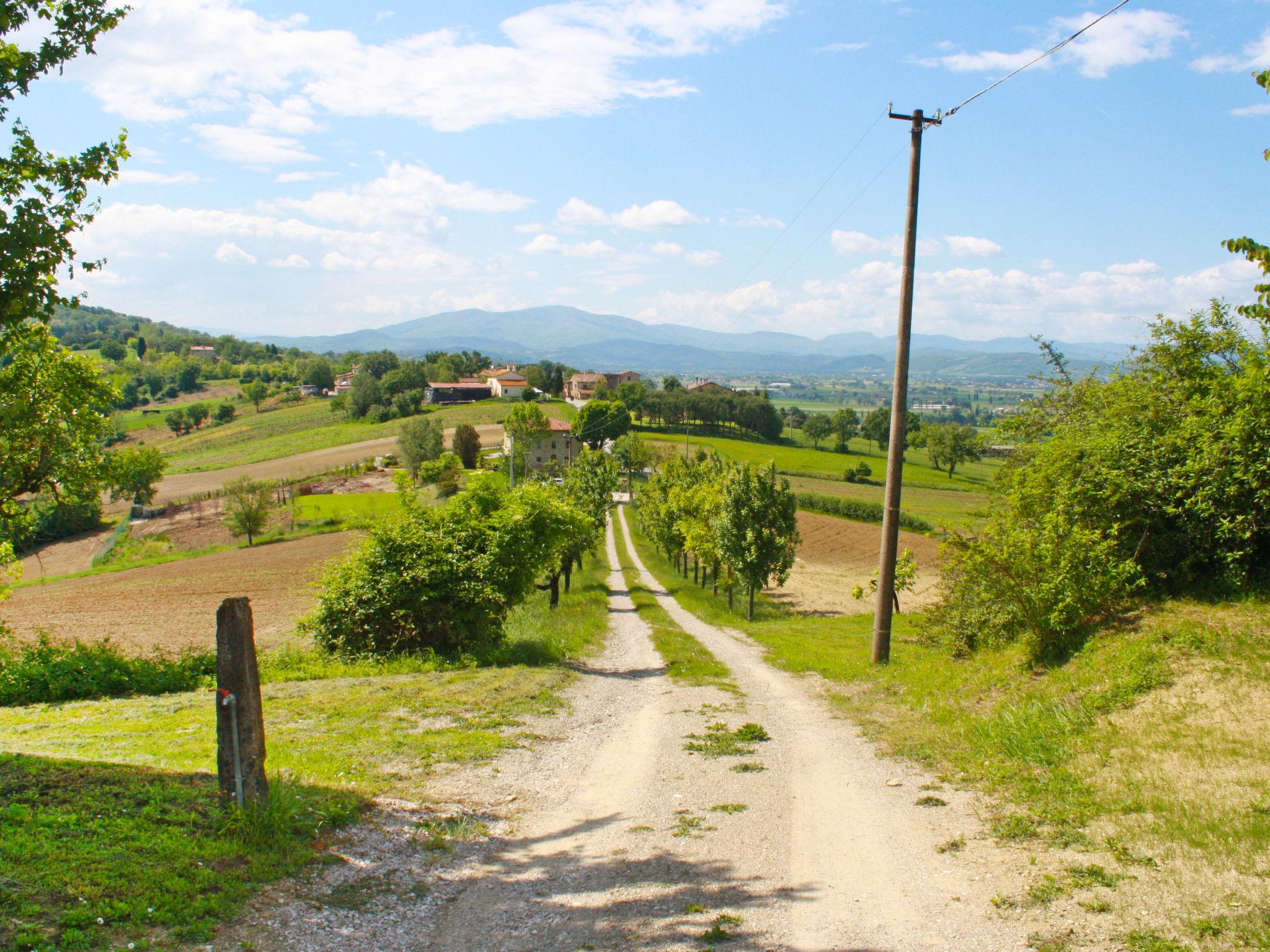 Photo 25 - 5 bedroom House in Citerna with private pool and garden