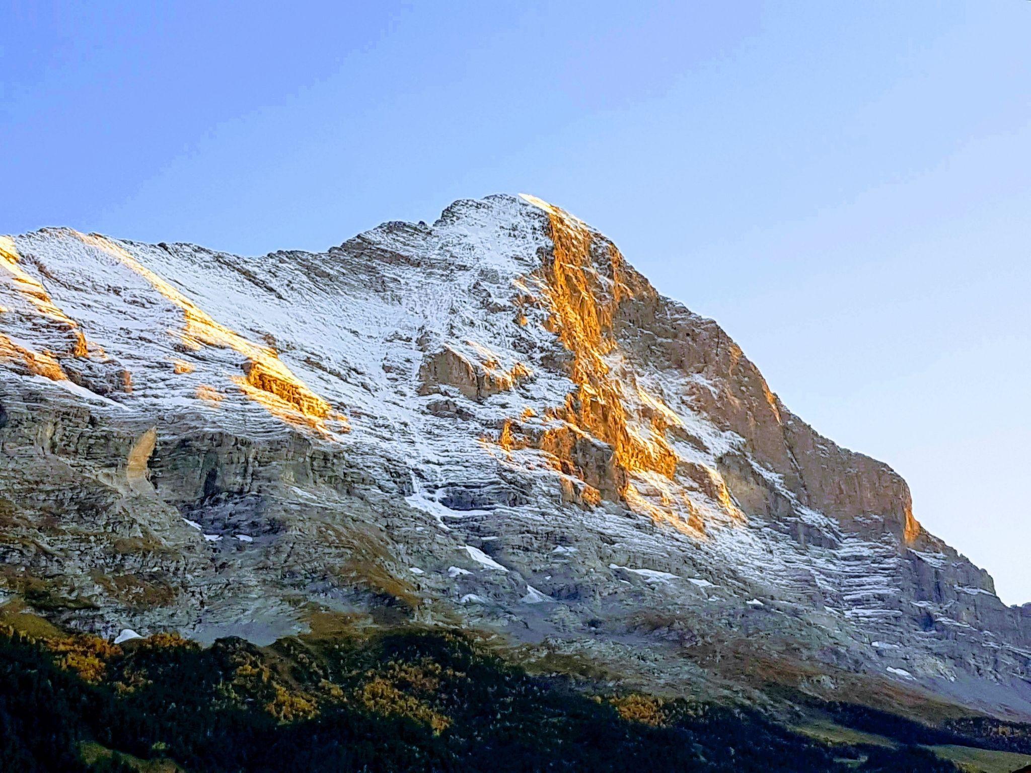 Foto 20 - Appartamento con 2 camere da letto a Grindelwald con giardino