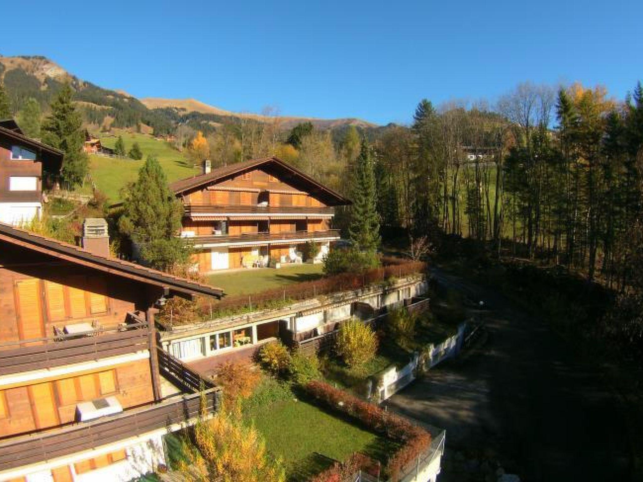 Photo 3 - Appartement de 2 chambres à Lenk avec jardin