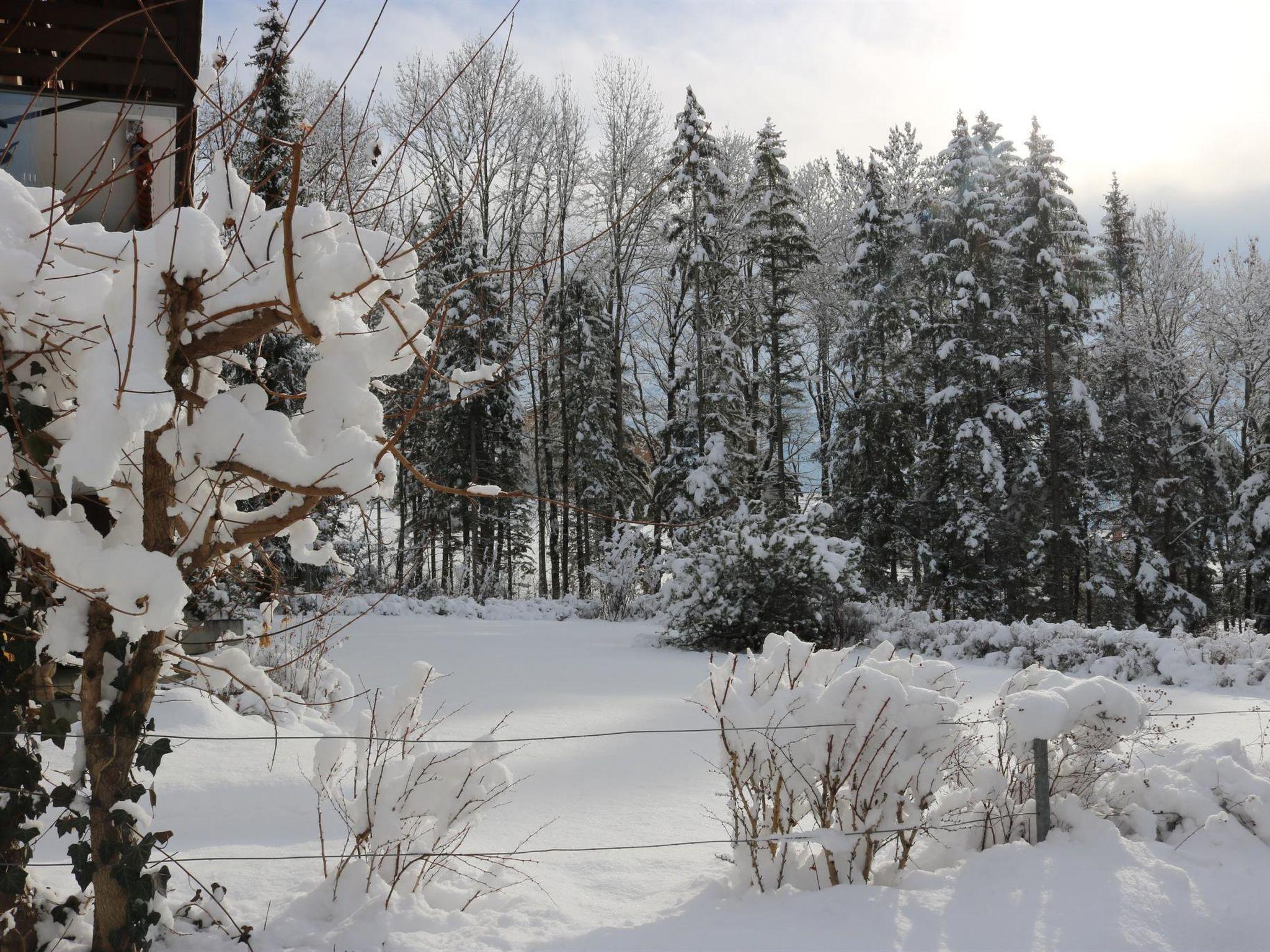 Photo 10 - 2 bedroom Apartment in Lenk with garden