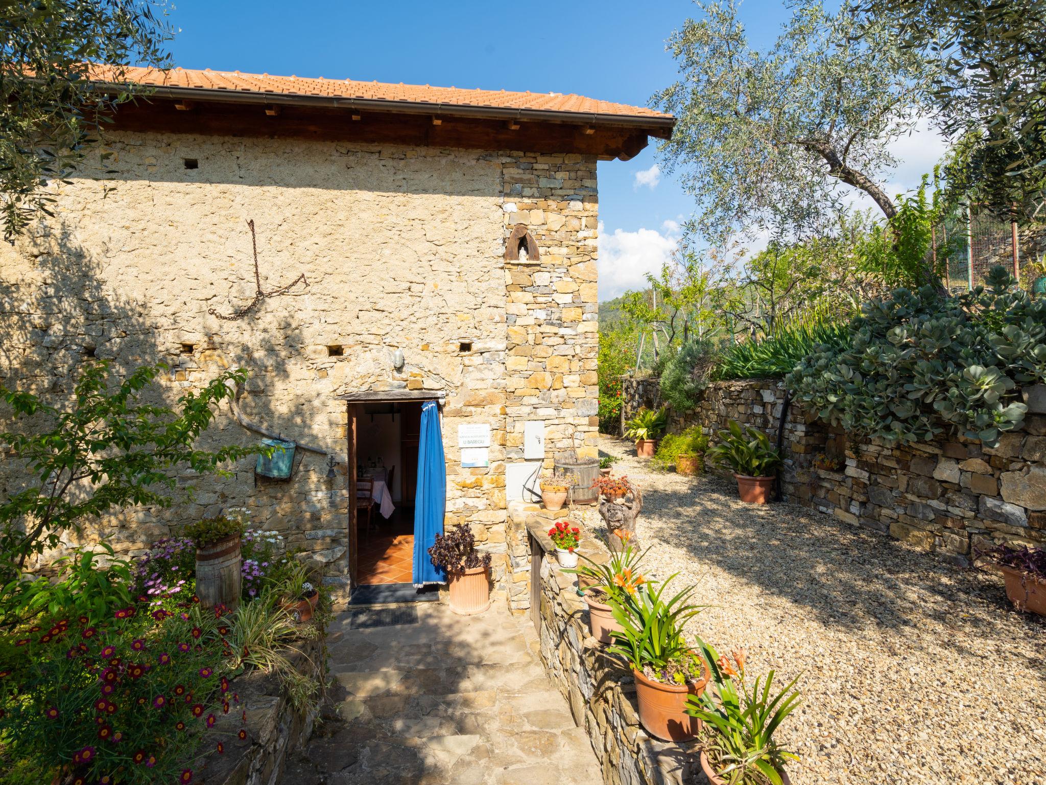 Photo 16 - 1 bedroom House in Diano San Pietro with private pool and garden