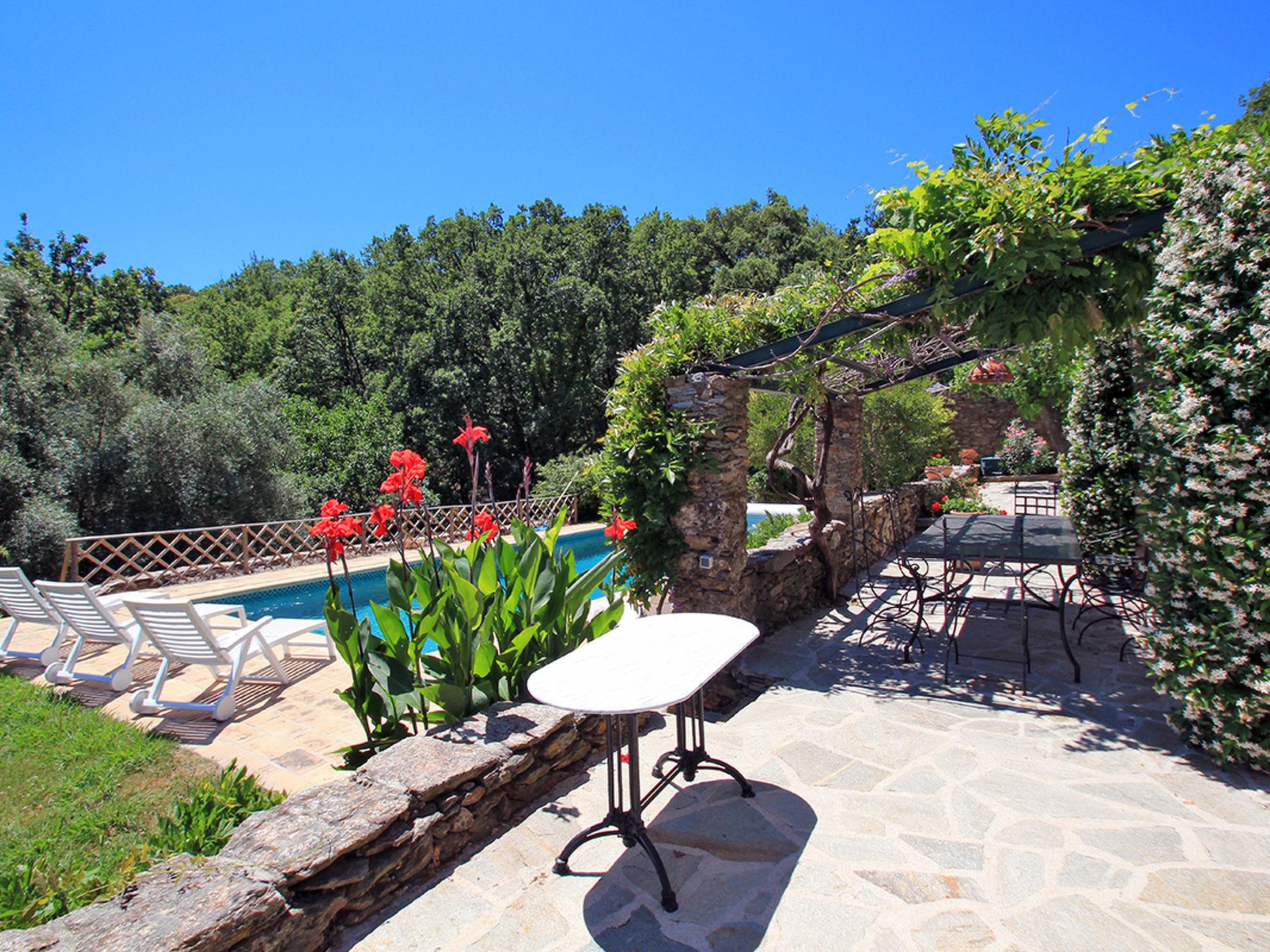 Photo 17 - Maison de 1 chambre à La Garde-Freinet avec piscine privée et jardin