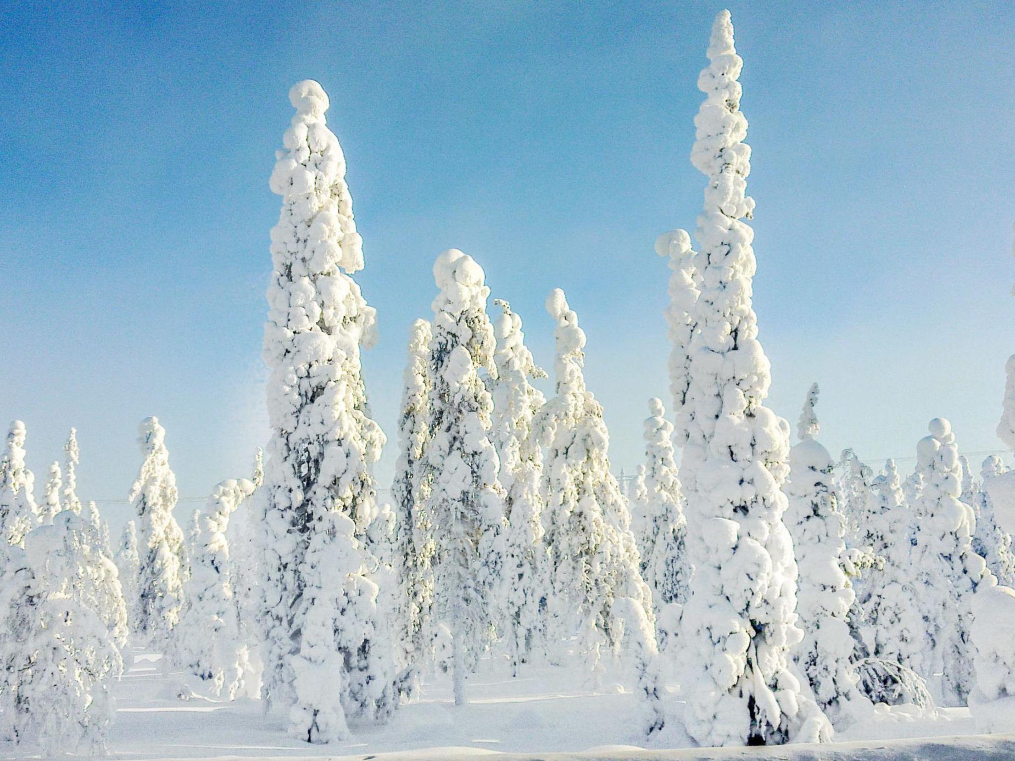 Foto 3 - Haus mit 4 Schlafzimmern in Kuusamo mit sauna und blick auf die berge