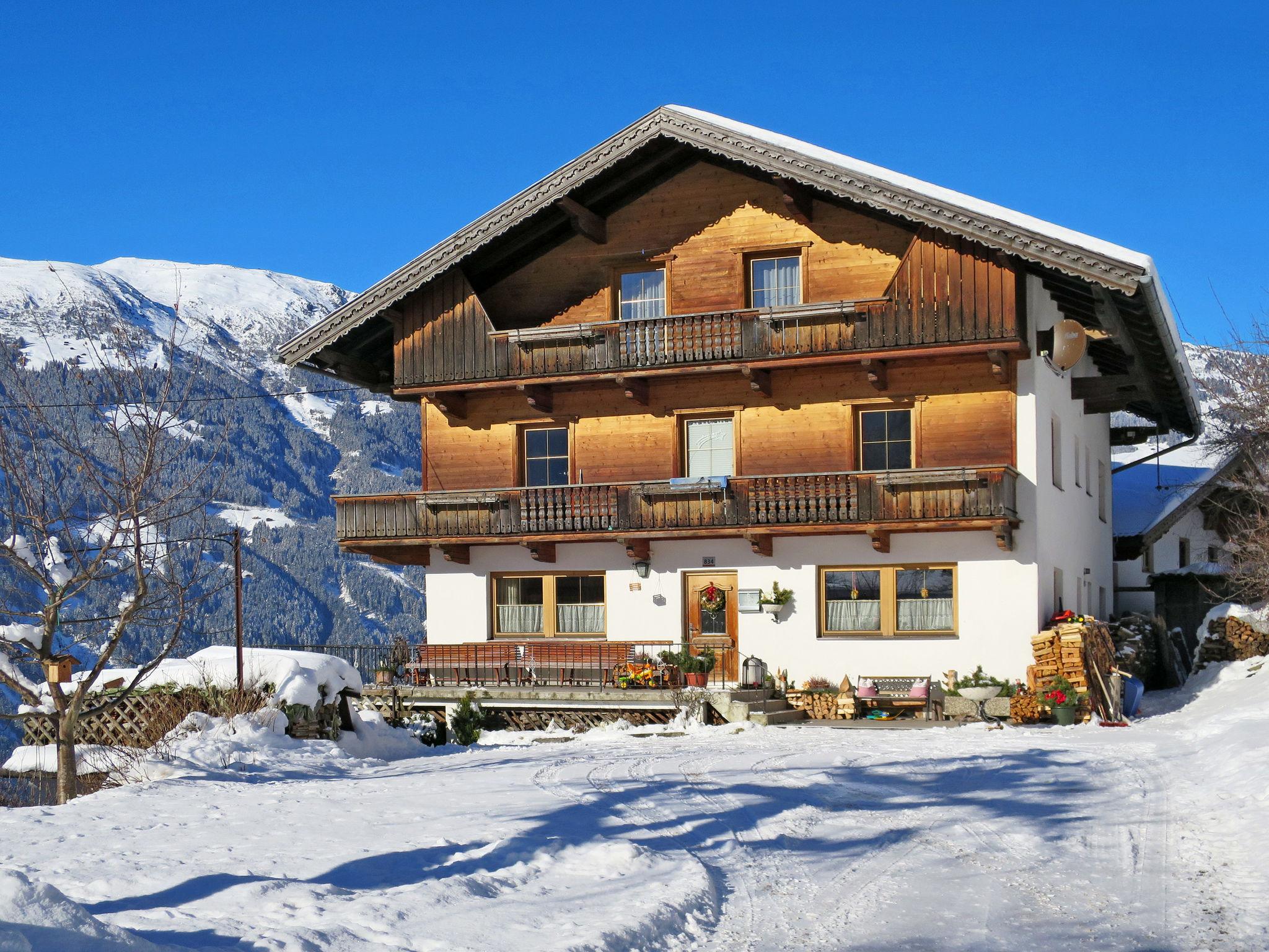 Foto 1 - Apartamento de 3 habitaciones en Ramsau im Zillertal con jardín