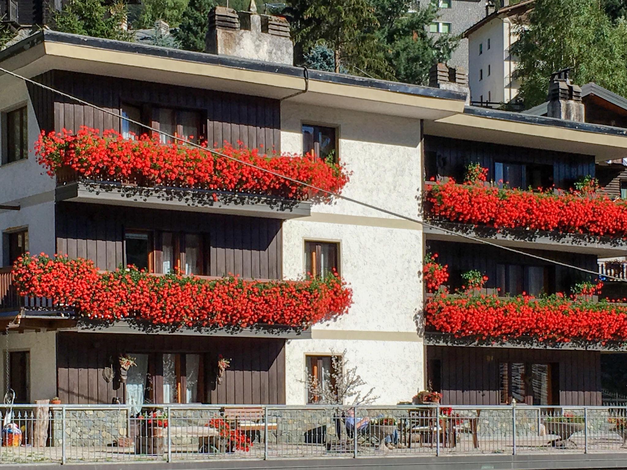 Photo 1 - Appartement de 2 chambres à Valtournenche avec terrasse