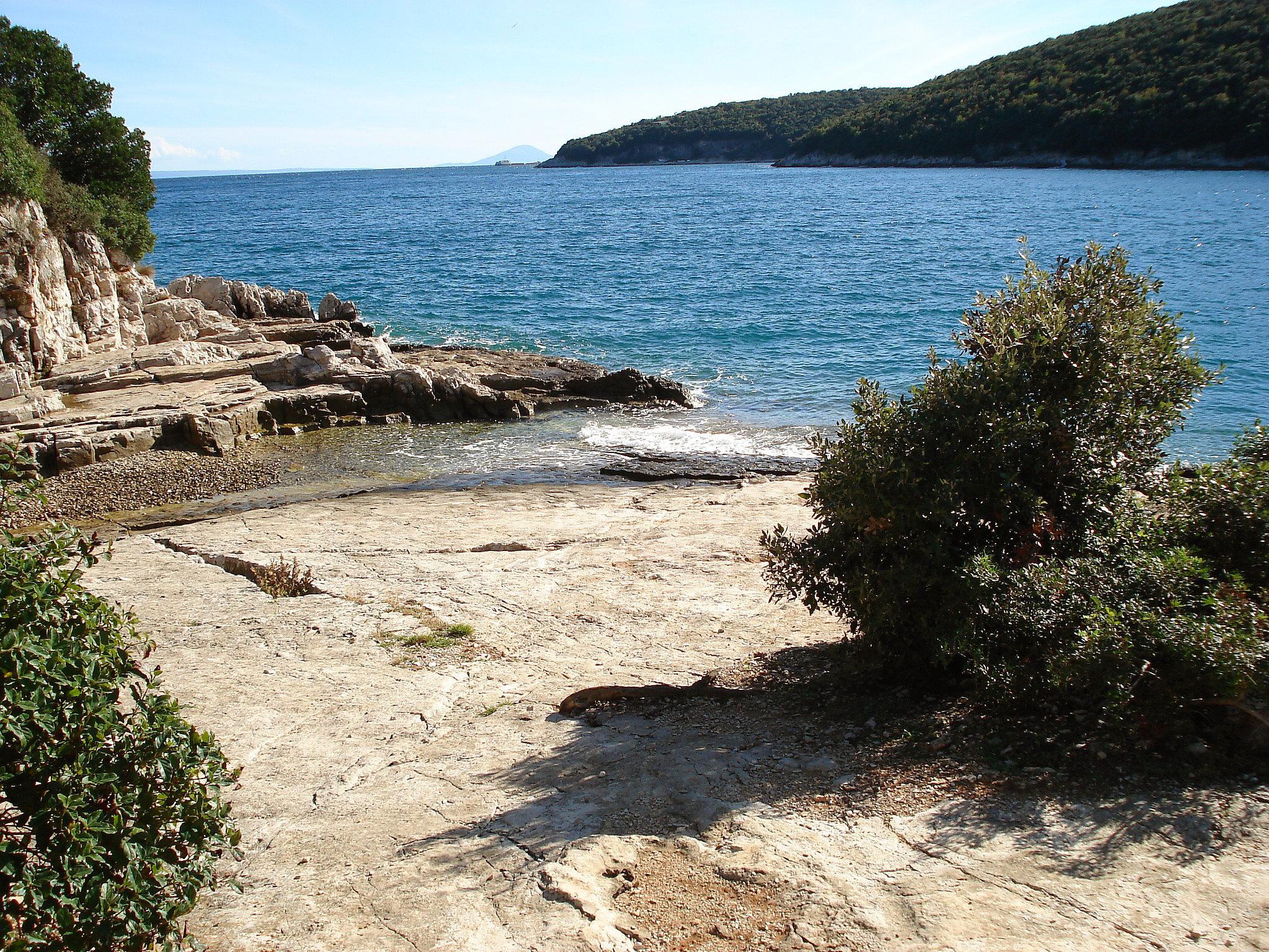 Foto 11 - Apartamento de 1 habitación en Marčana con jardín y vistas al mar