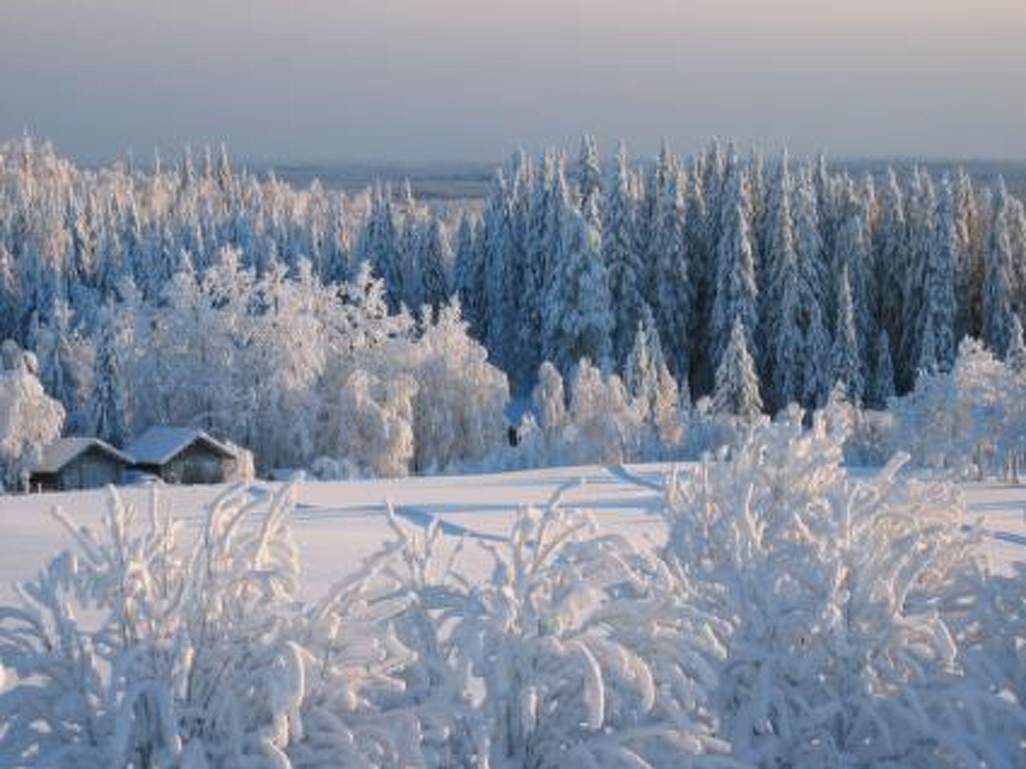 Photo 35 - Maison de 3 chambres à Sotkamo avec sauna