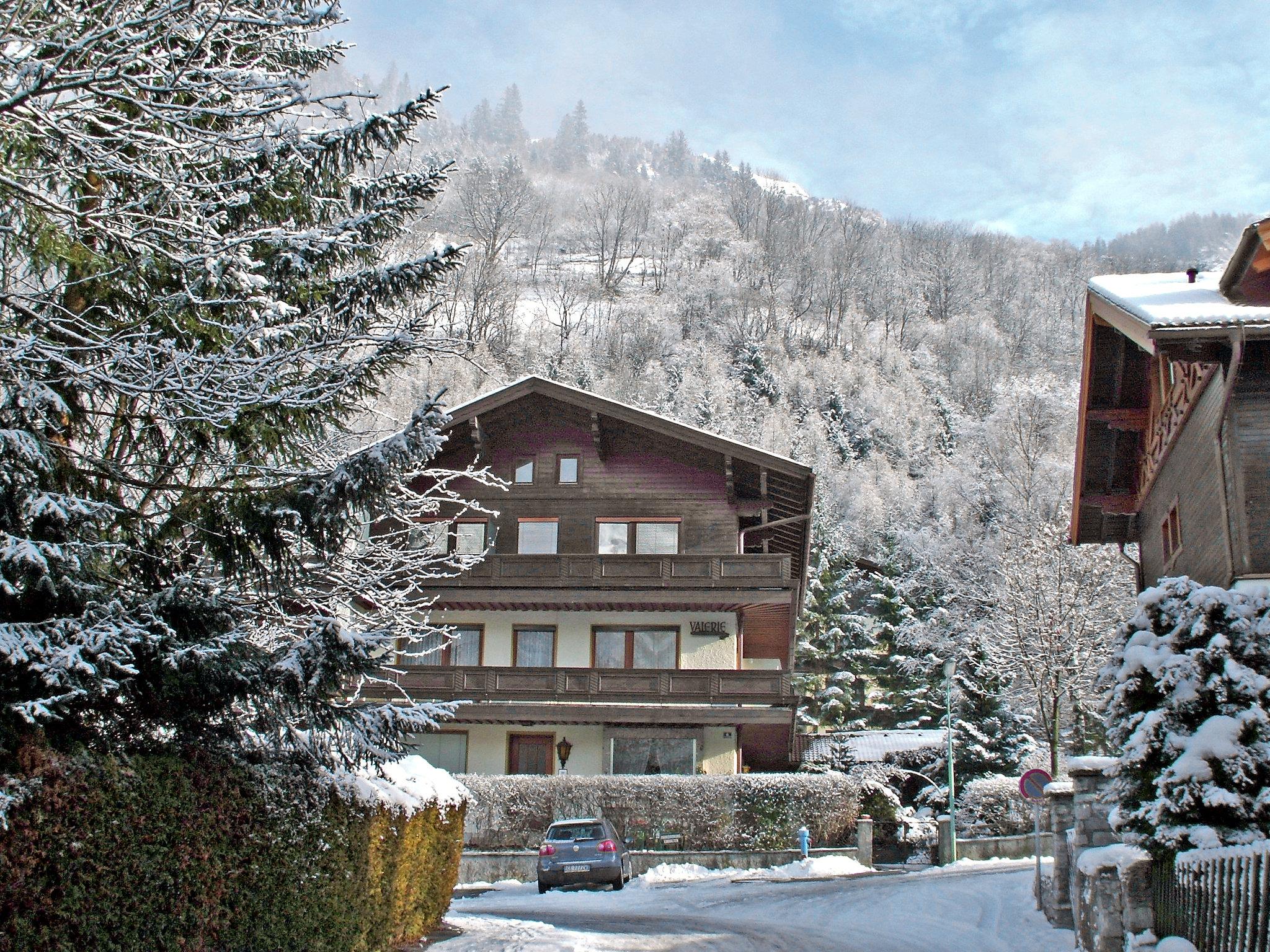 Foto 19 - Appartamento con 1 camera da letto a Bad Hofgastein con vista sulle montagne