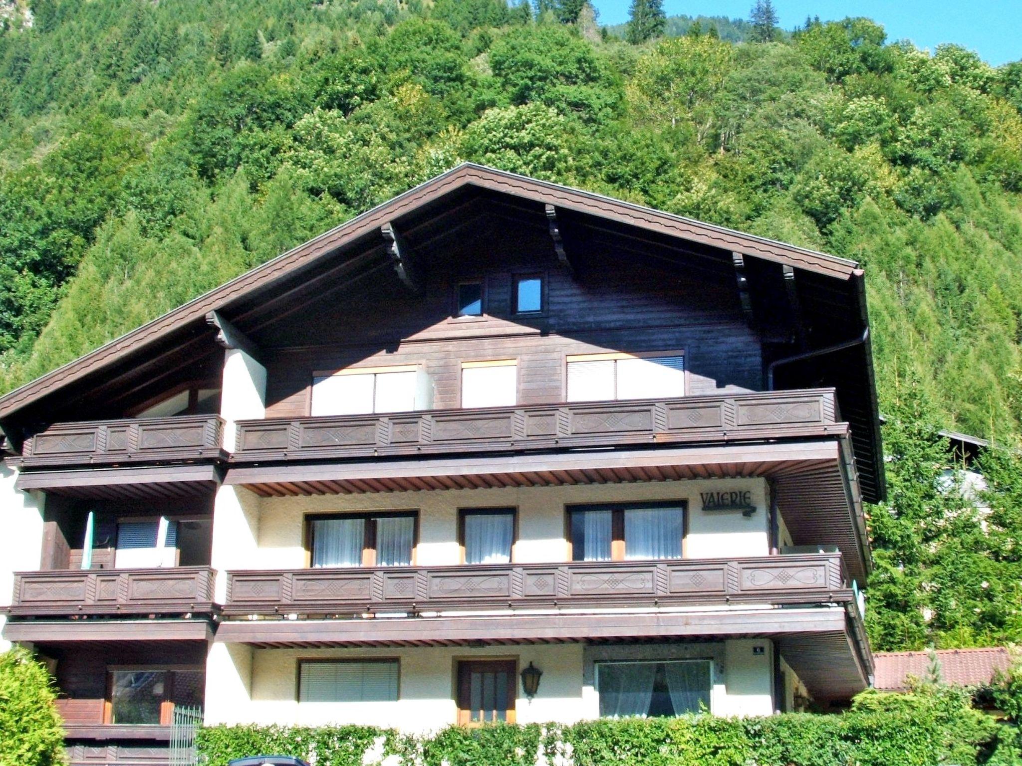 Foto 18 - Apartamento de 1 habitación en Bad Hofgastein con vistas a la montaña