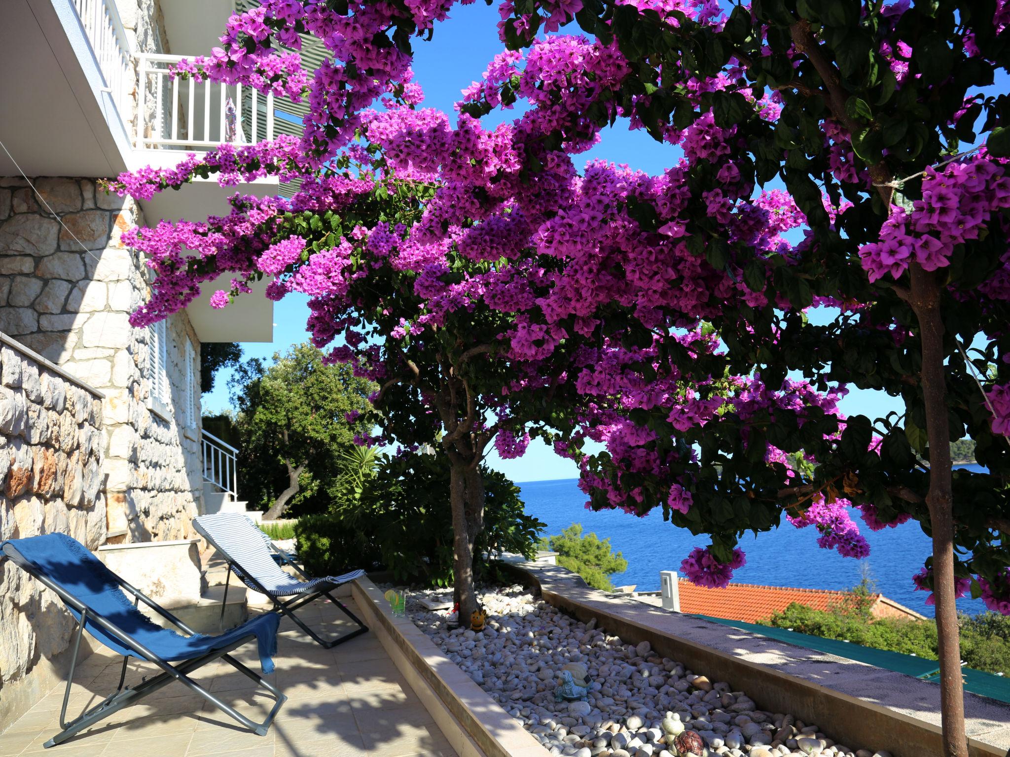 Photo 1 - Appartement de 3 chambres à Blato avec terrasse et vues à la mer