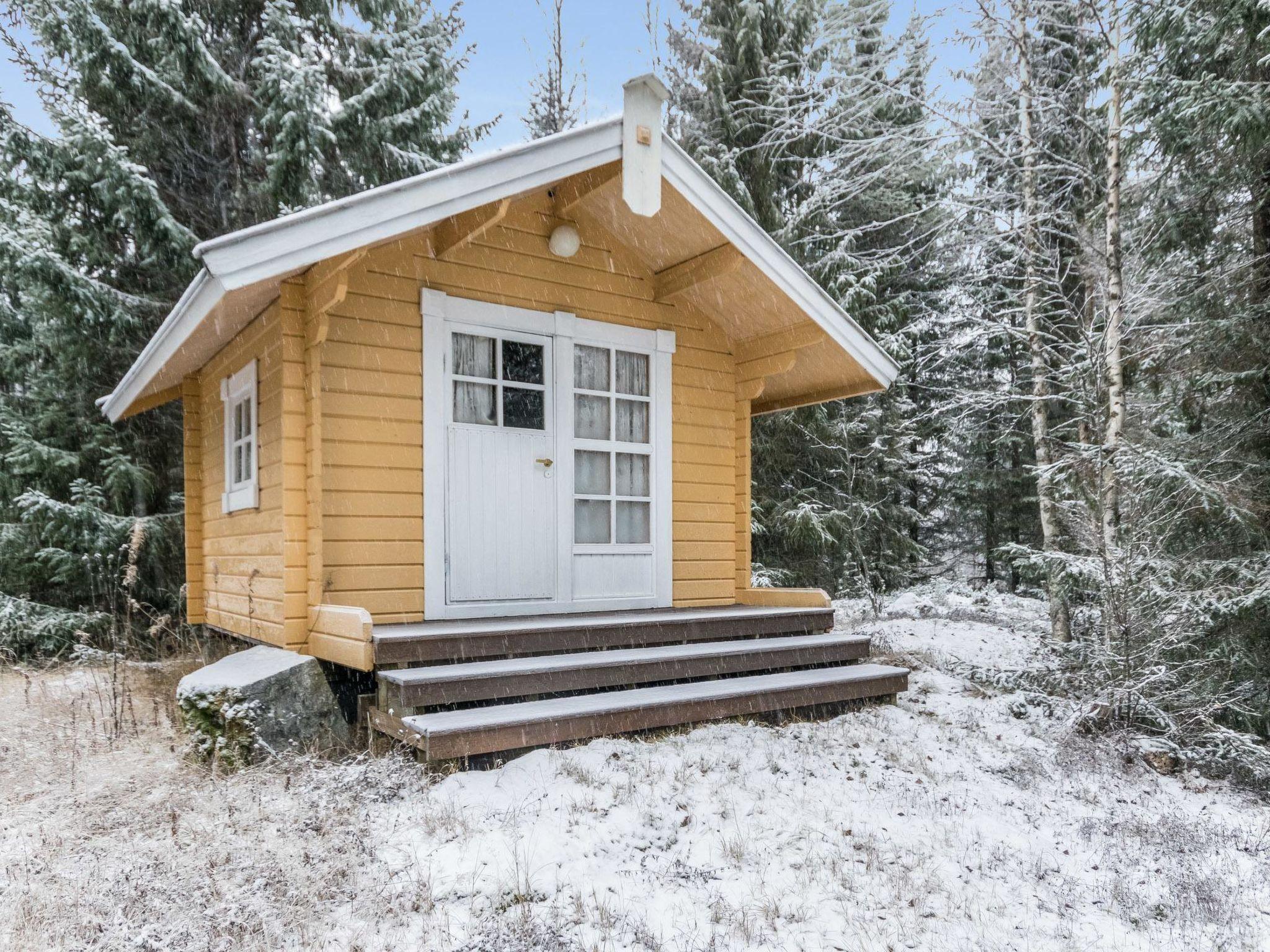 Foto 13 - Haus mit 1 Schlafzimmer in Iisalmi mit sauna