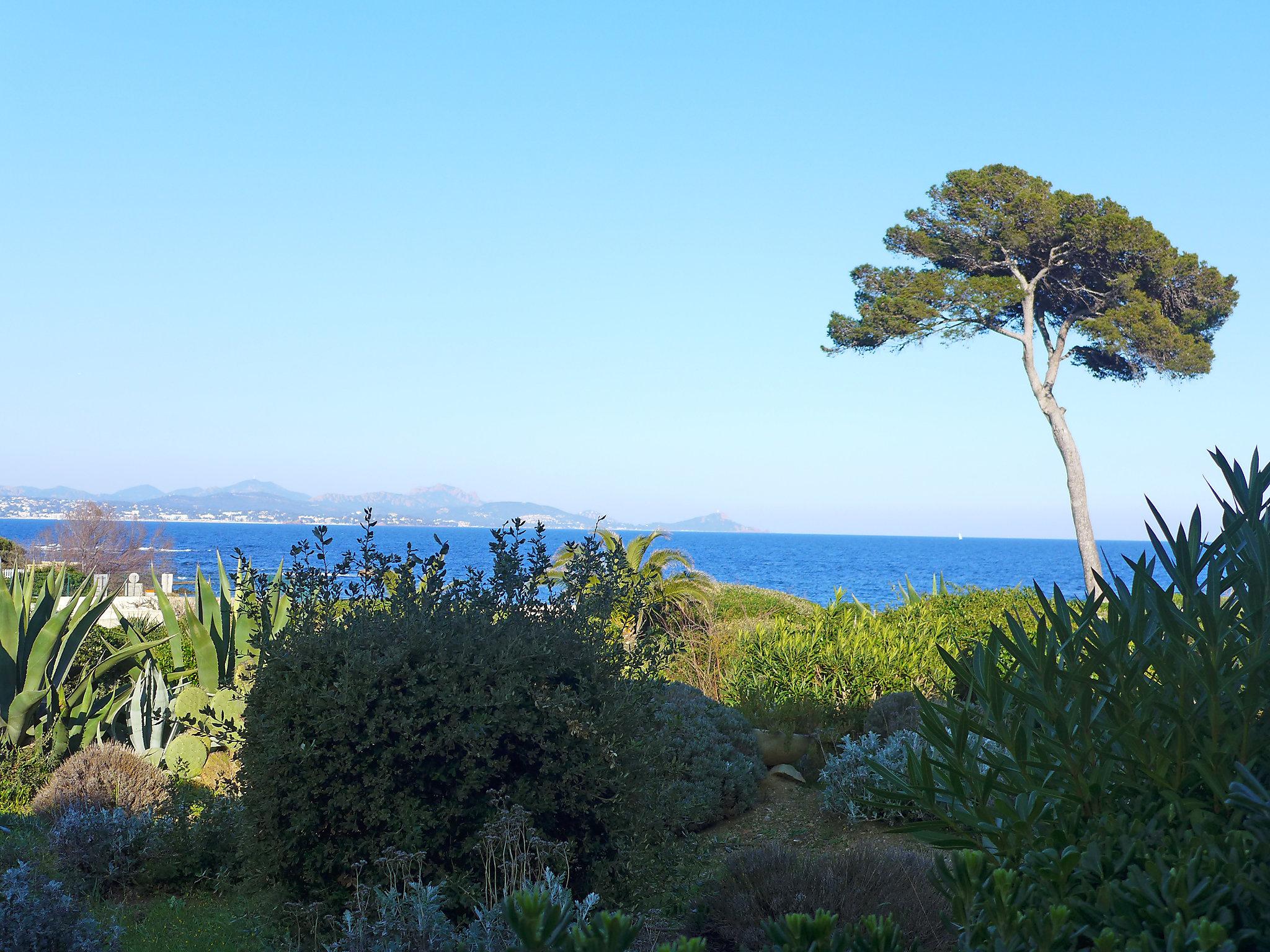 Photo 19 - Appartement de 2 chambres à Fréjus avec jardin et vues à la mer