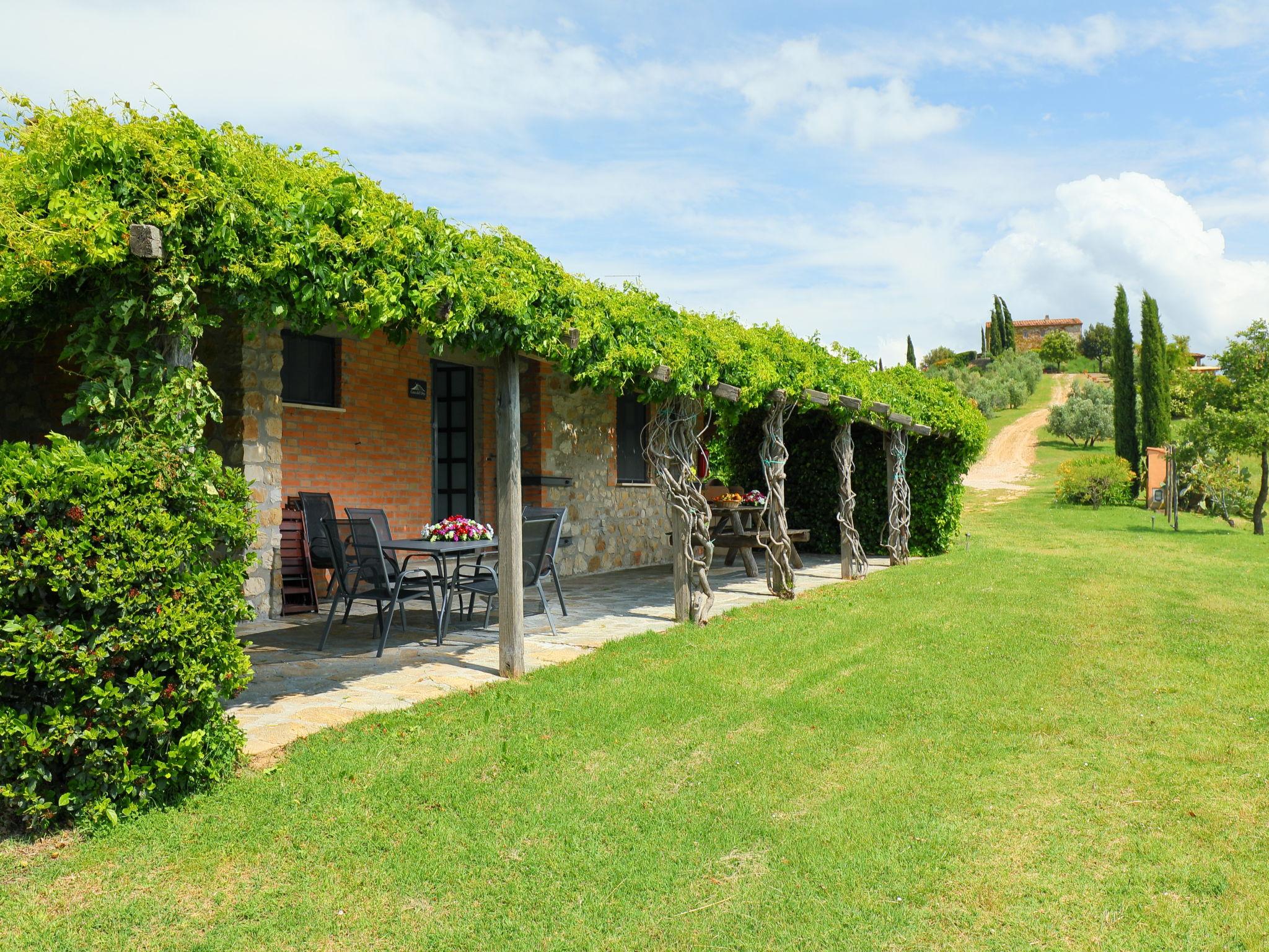 Photo 15 - Maison de 2 chambres à Scansano avec piscine et vues à la mer