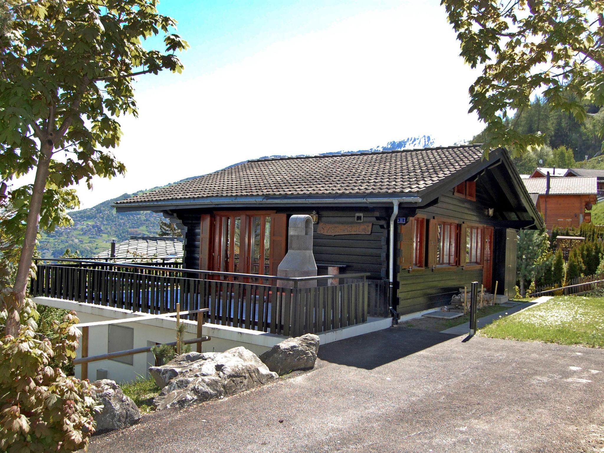 Foto 22 - Casa con 4 camere da letto a Nendaz con giardino e terrazza