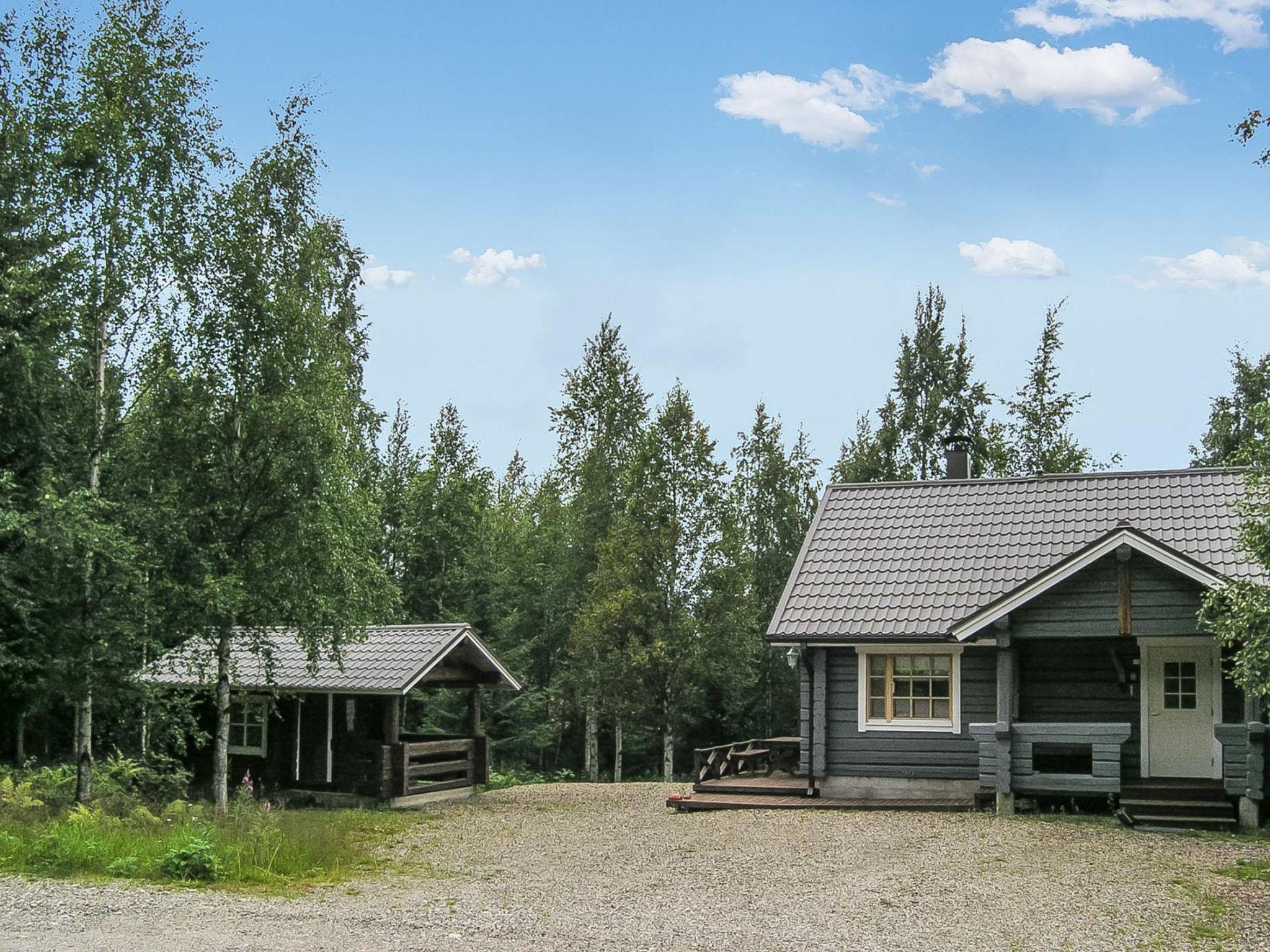 Foto 3 - Haus mit 1 Schlafzimmer in Sotkamo mit sauna