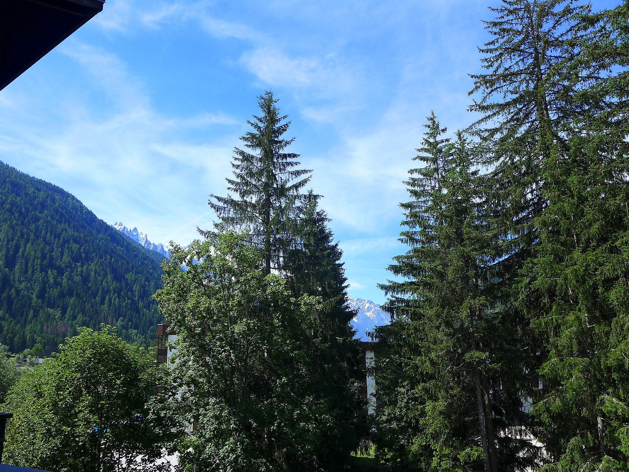 Foto 17 - Apartment mit 2 Schlafzimmern in Chamonix-Mont-Blanc mit blick auf die berge