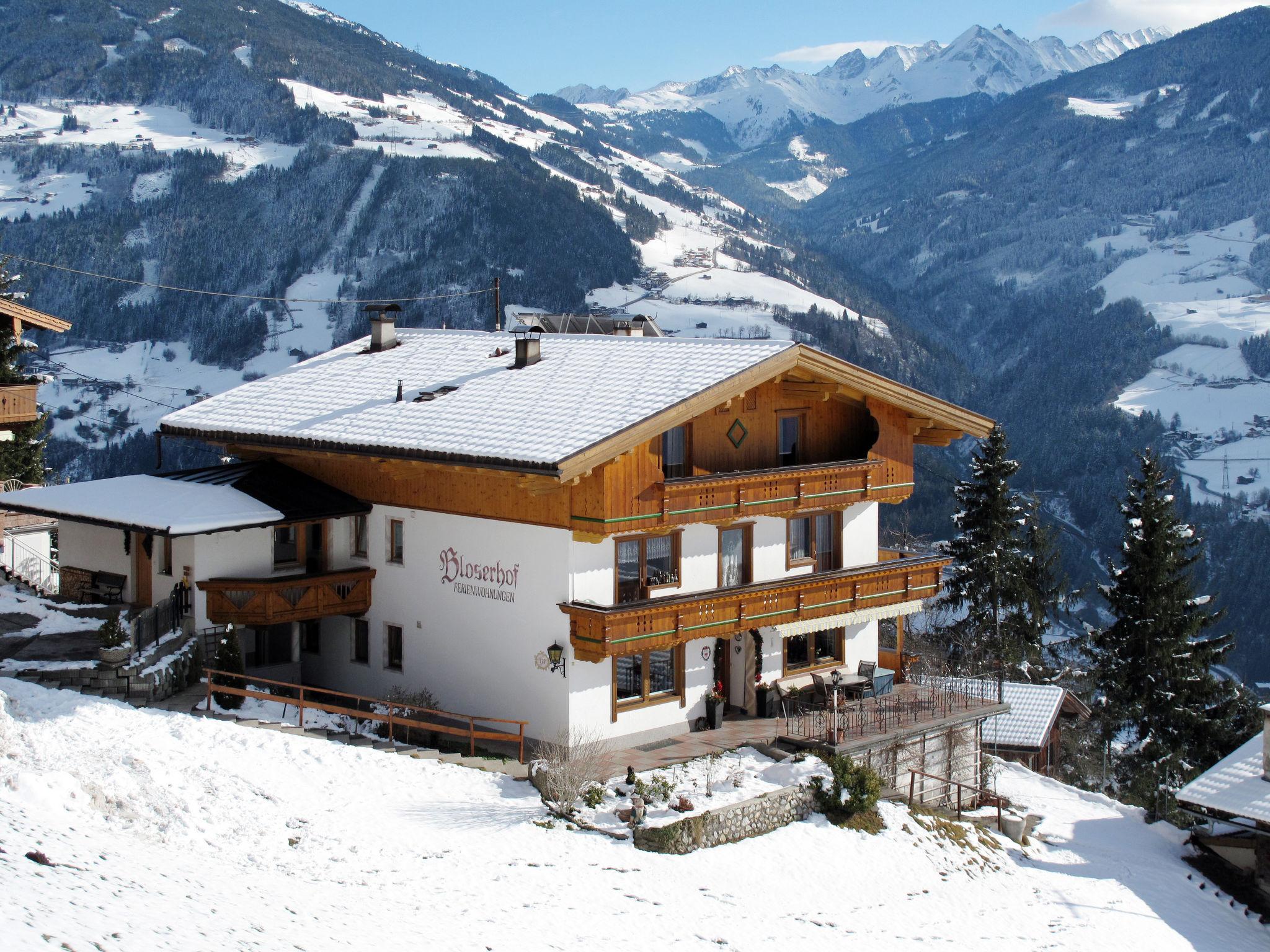 Photo 18 - Appartement de 3 chambres à Zellberg avec jardin et vues sur la montagne