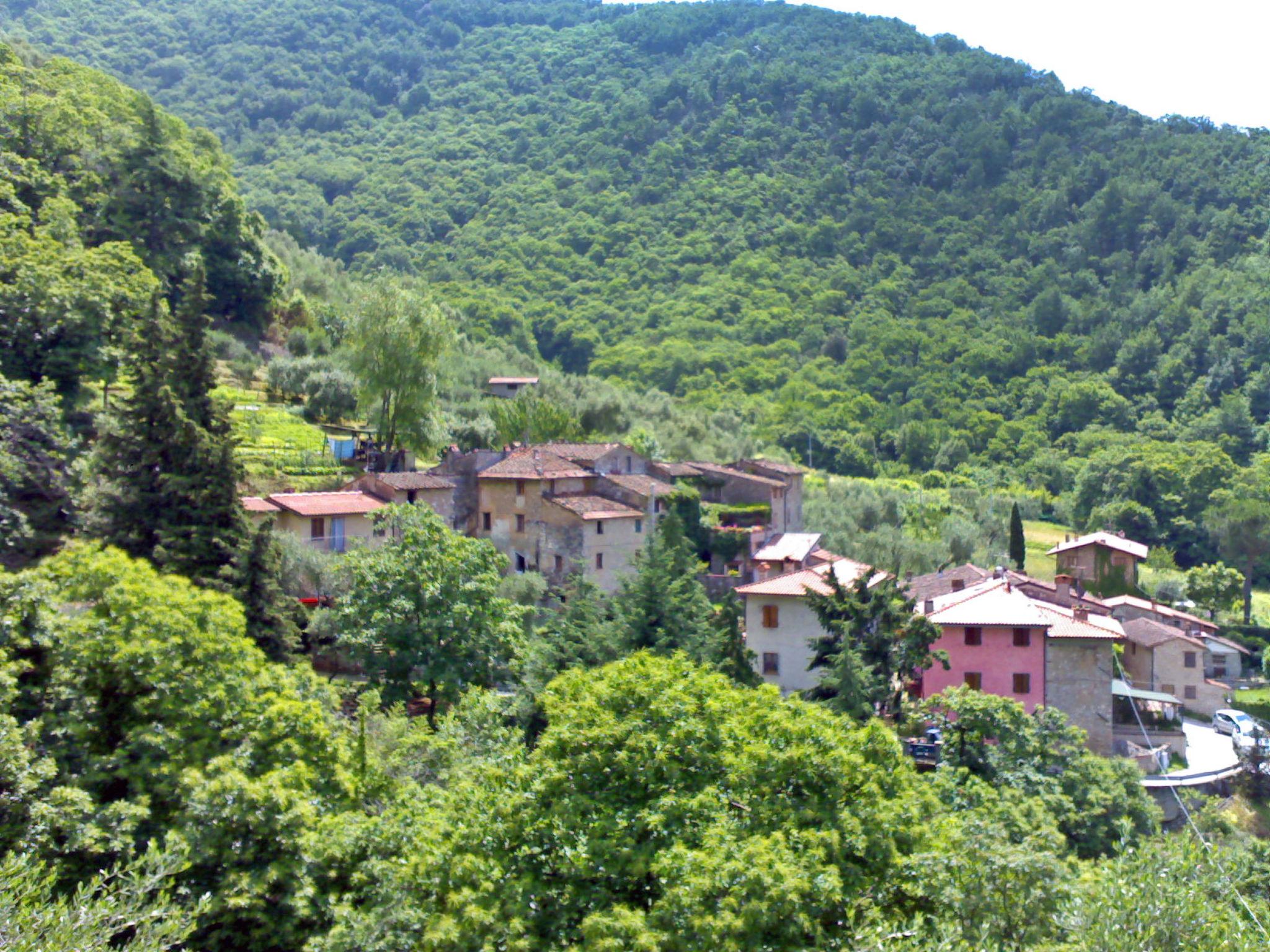 Photo 28 - Maison de 2 chambres à Camaiore avec jardin et terrasse